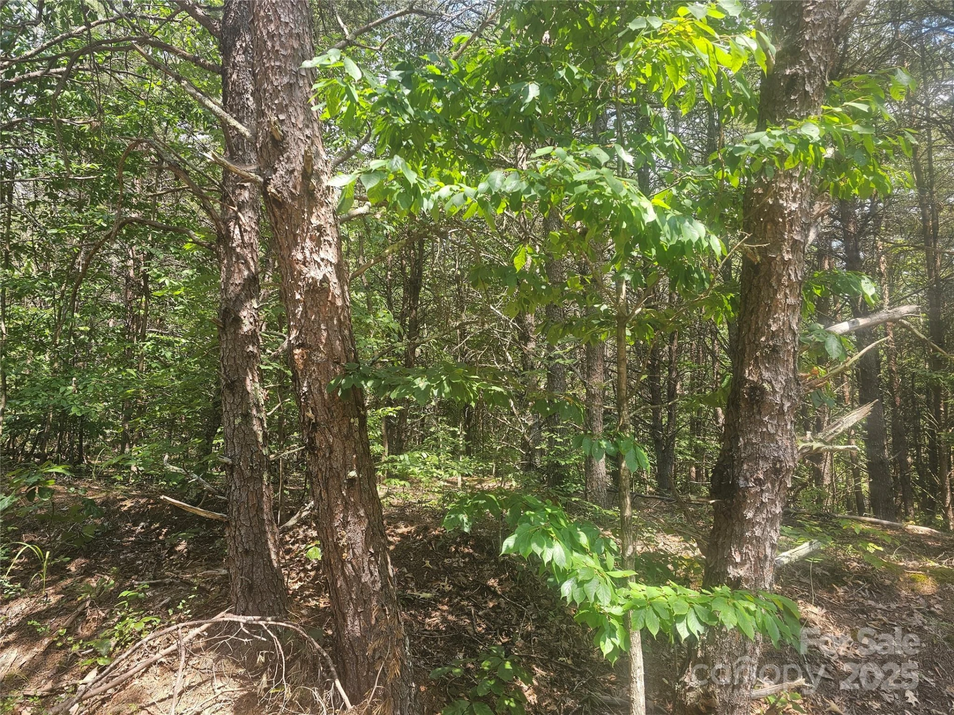 0 Green Creek Drive - Photo 6