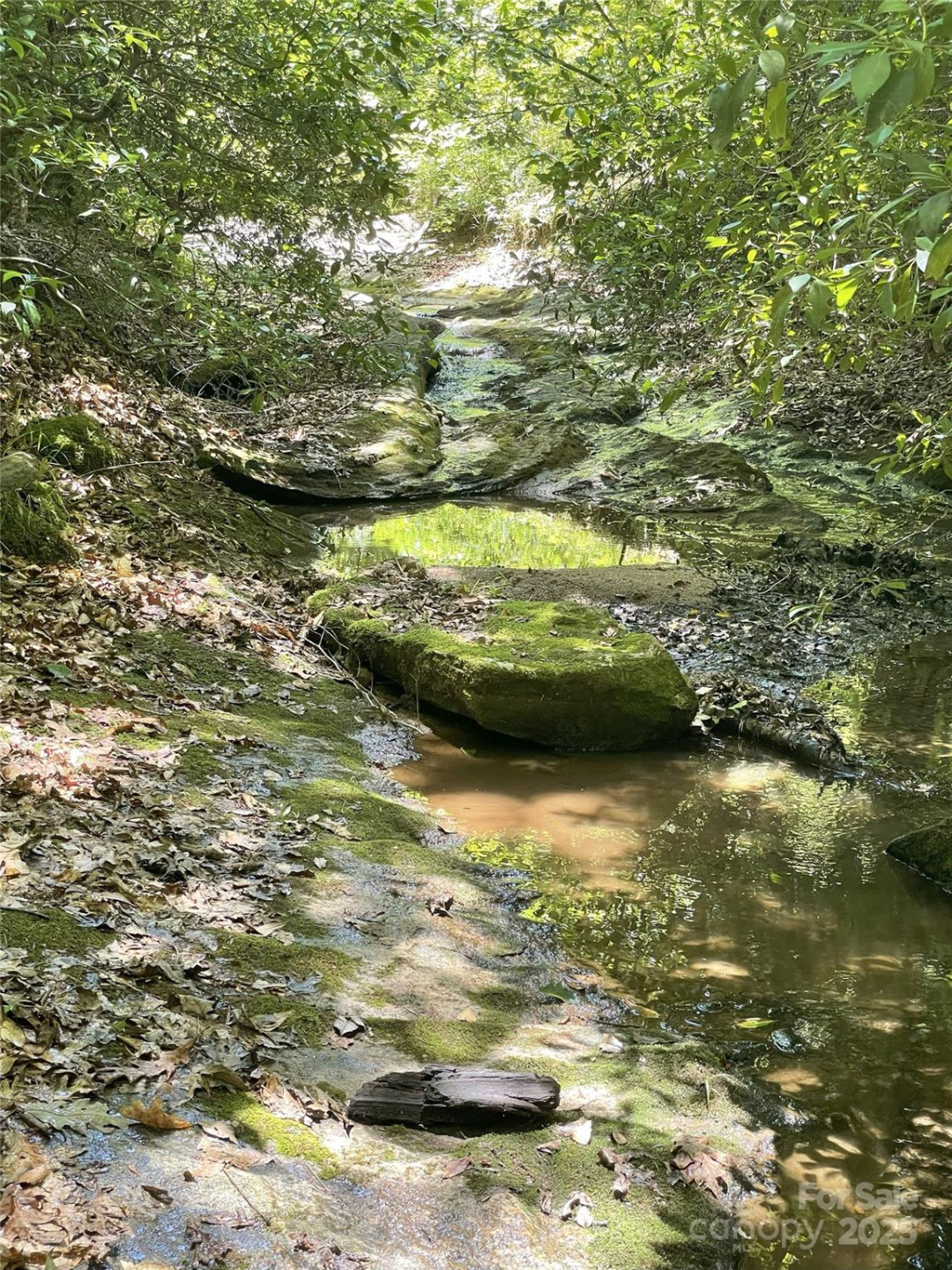 0 Green Creek Drive - Photo 7