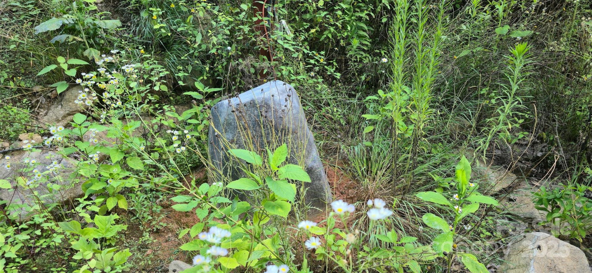 Lot 501 Spellbound Road - Photo 12