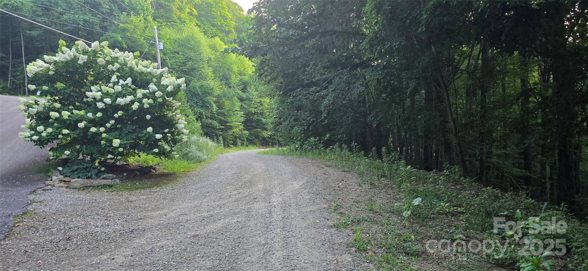 Lot 501 Spellbound Road - Photo 13