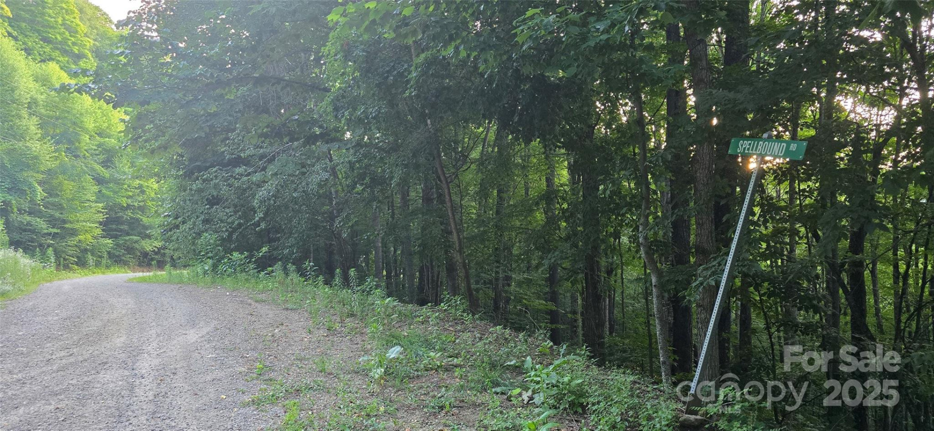 Lot 501 Spellbound Road - Photo 14