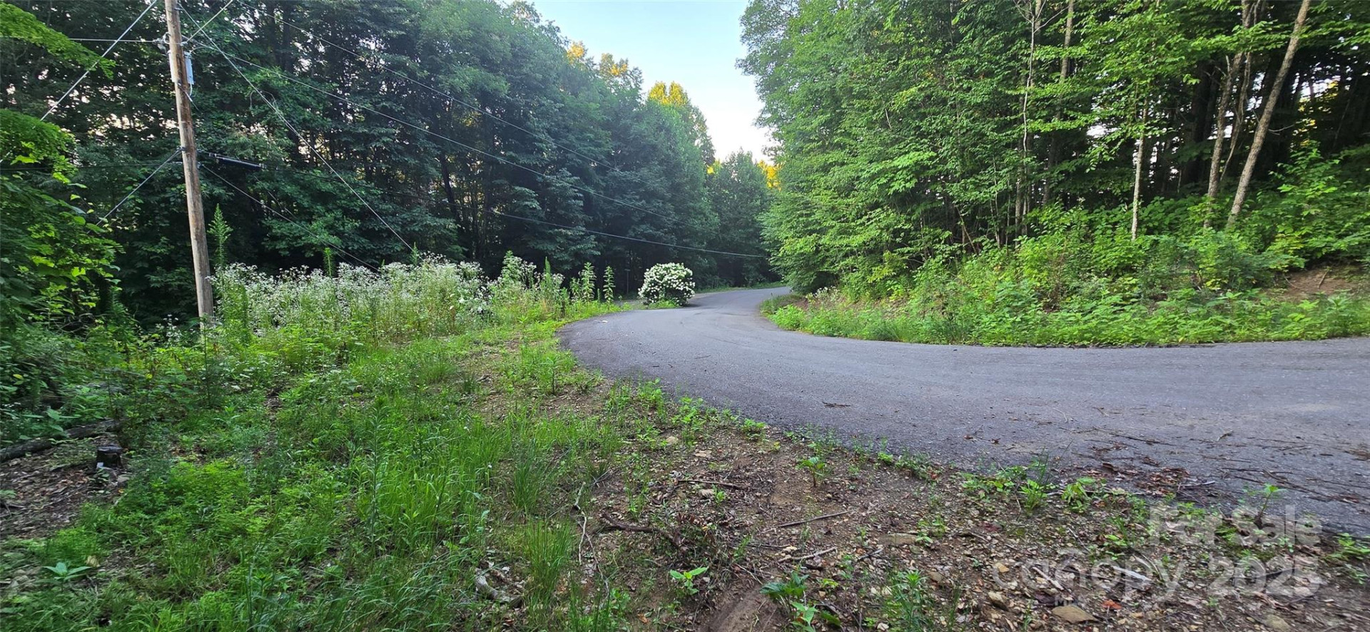 Lot 501 Spellbound Road - Photo 6