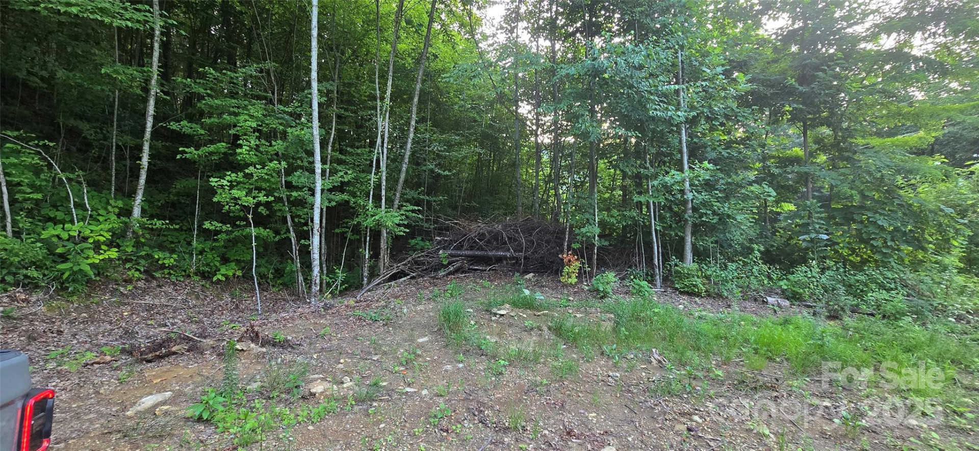 Lot 501 Spellbound Road - Photo 8