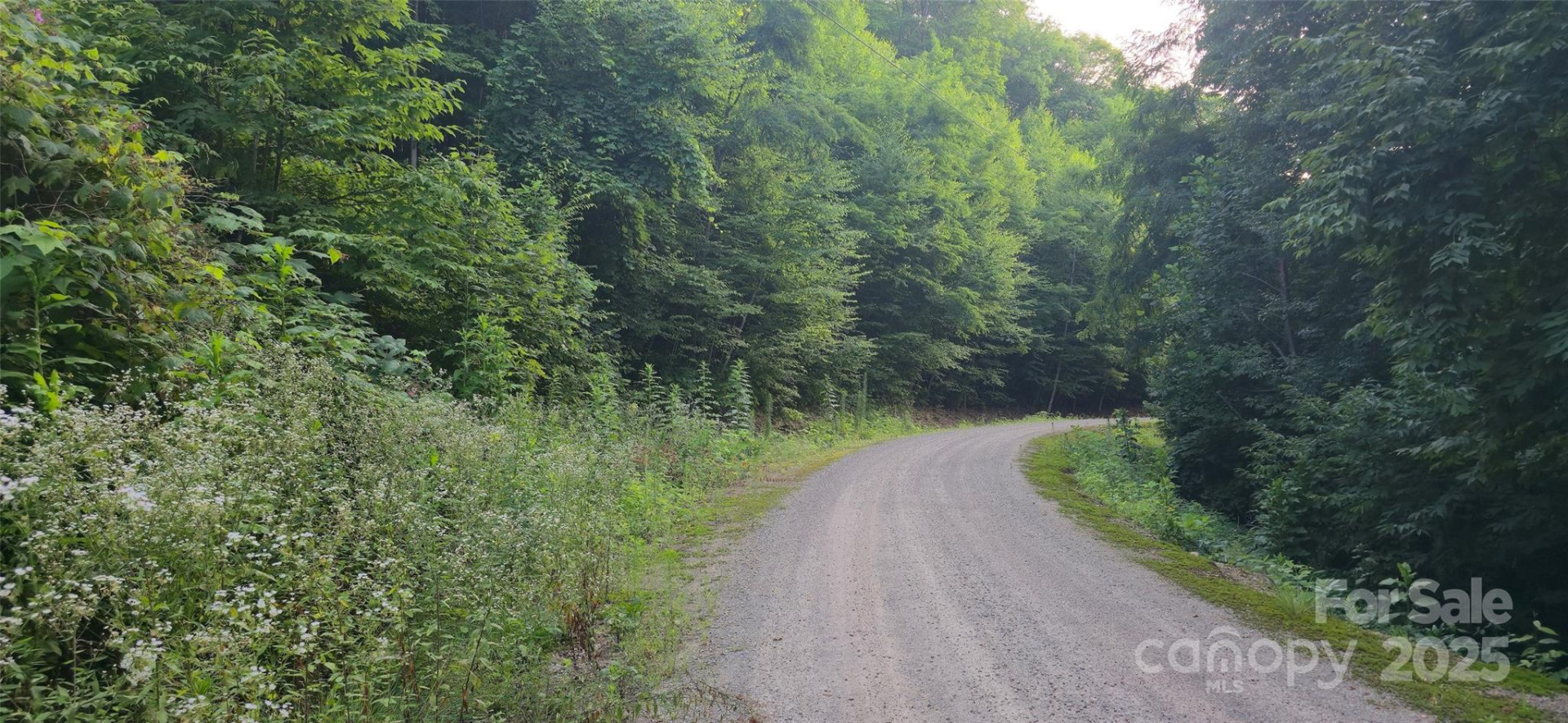 Lot 501 Spellbound Road - Photo 9