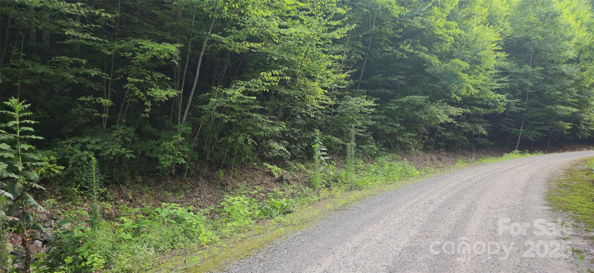 Lot 501 Spellbound Road - Photo 10