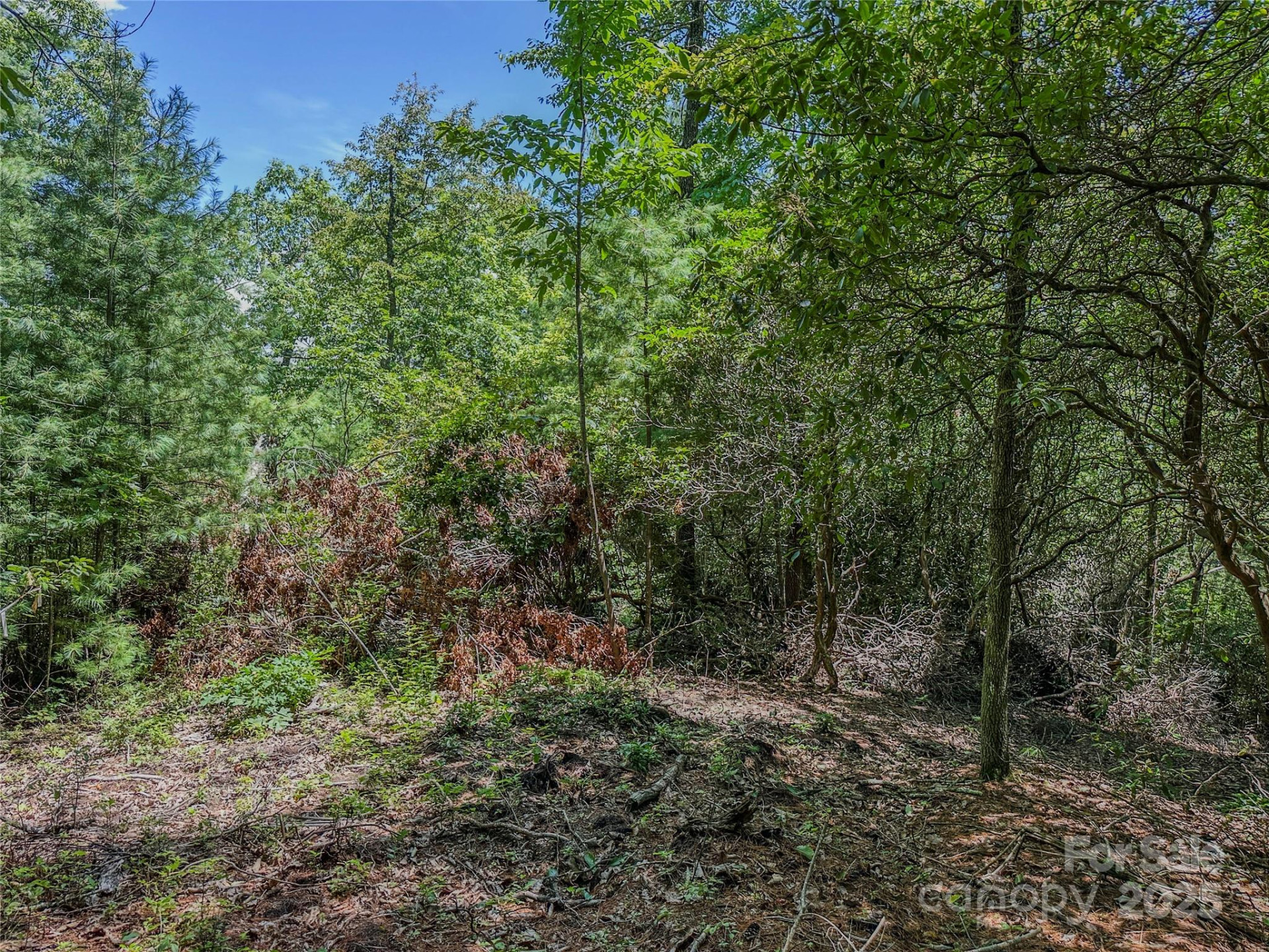 TBD Emma Bri Lane ##10 - Photo 2