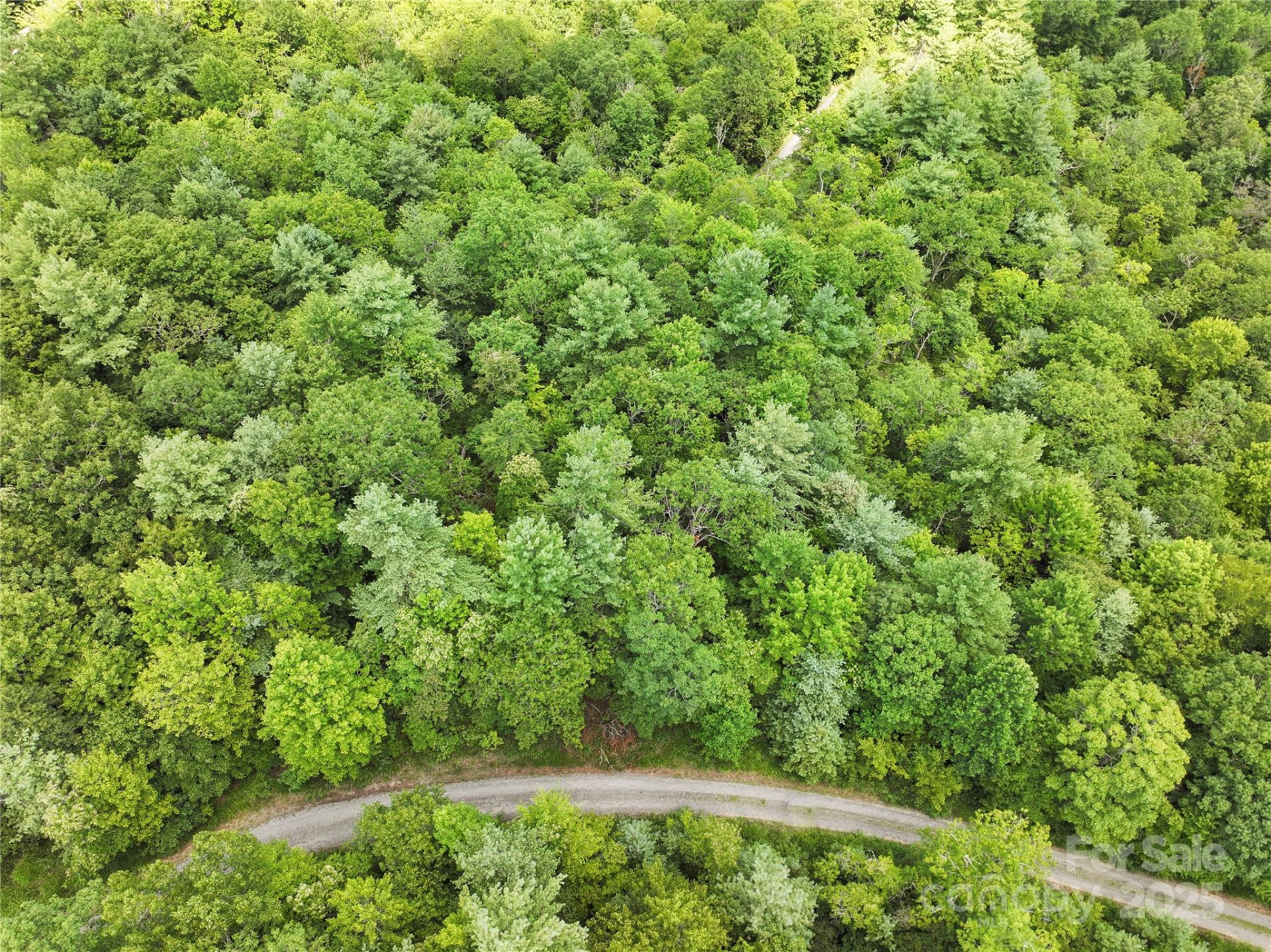 TBD Emma Bri Lane ##10 - Photo 11