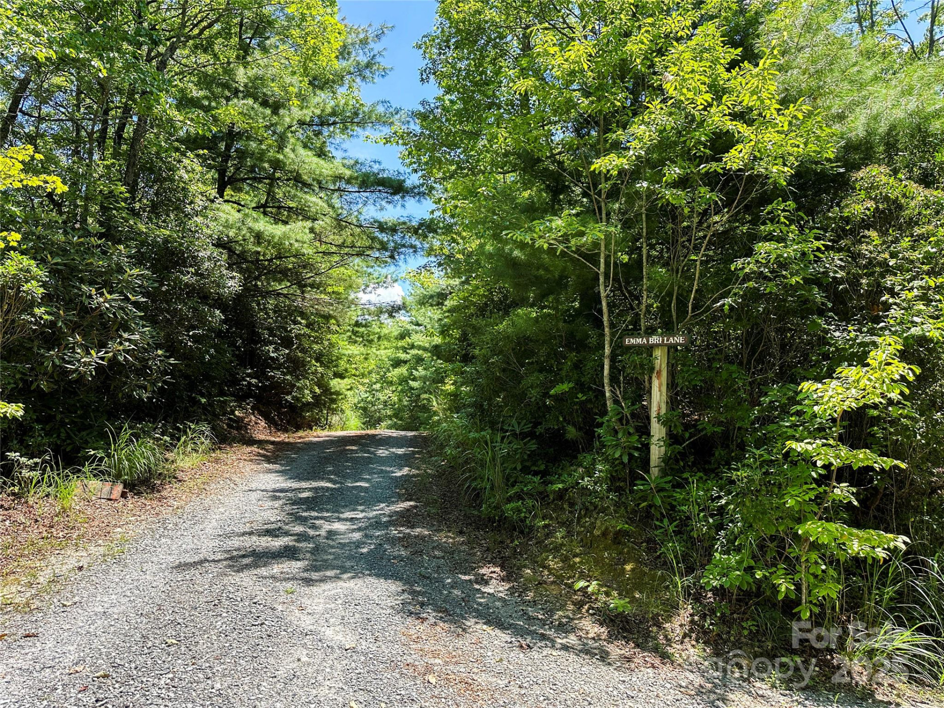 TBD Emma Bri Lane ##10 - Photo 3