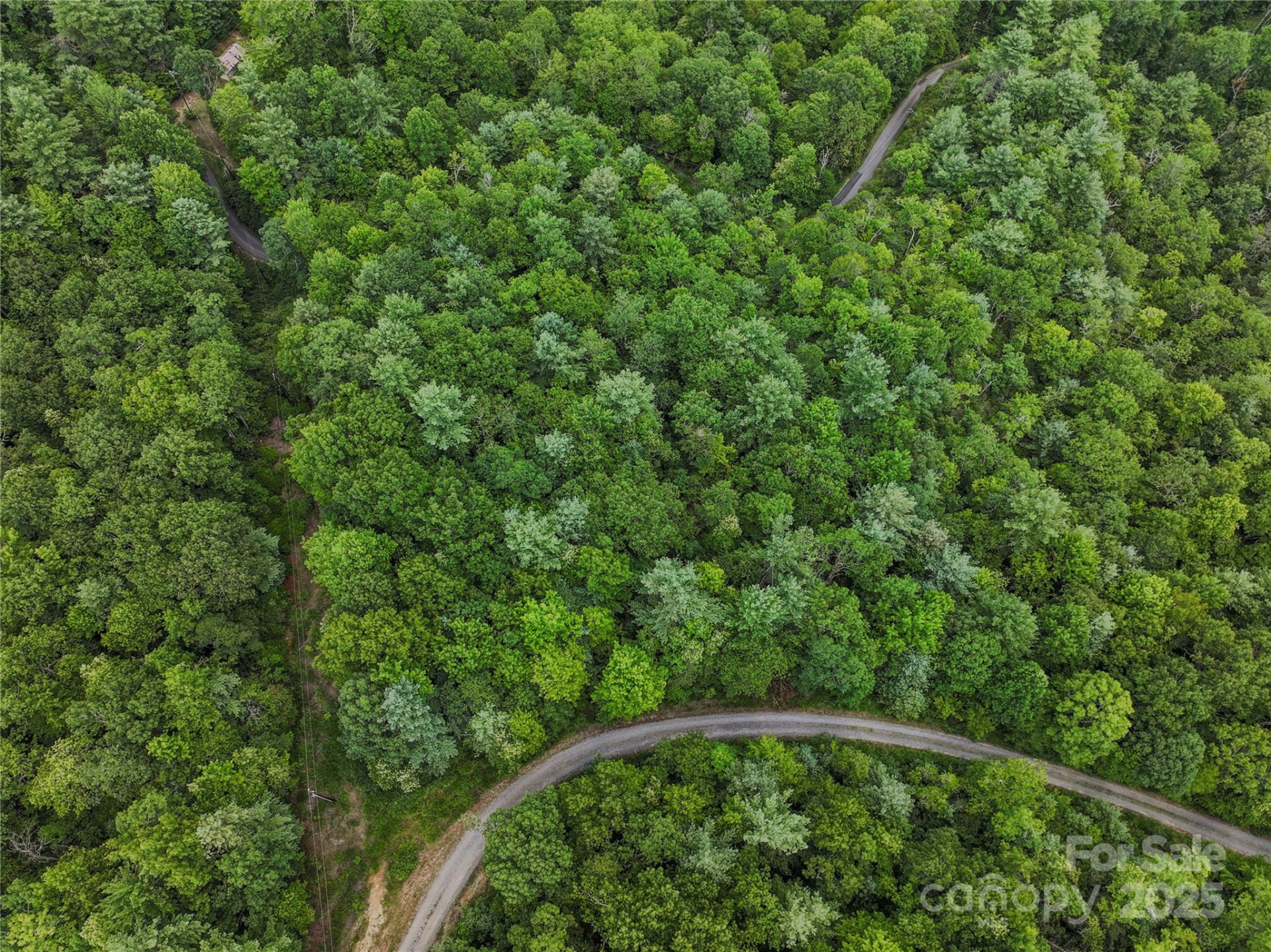 TBD Emma Bri Lane ##10 - Photo 5