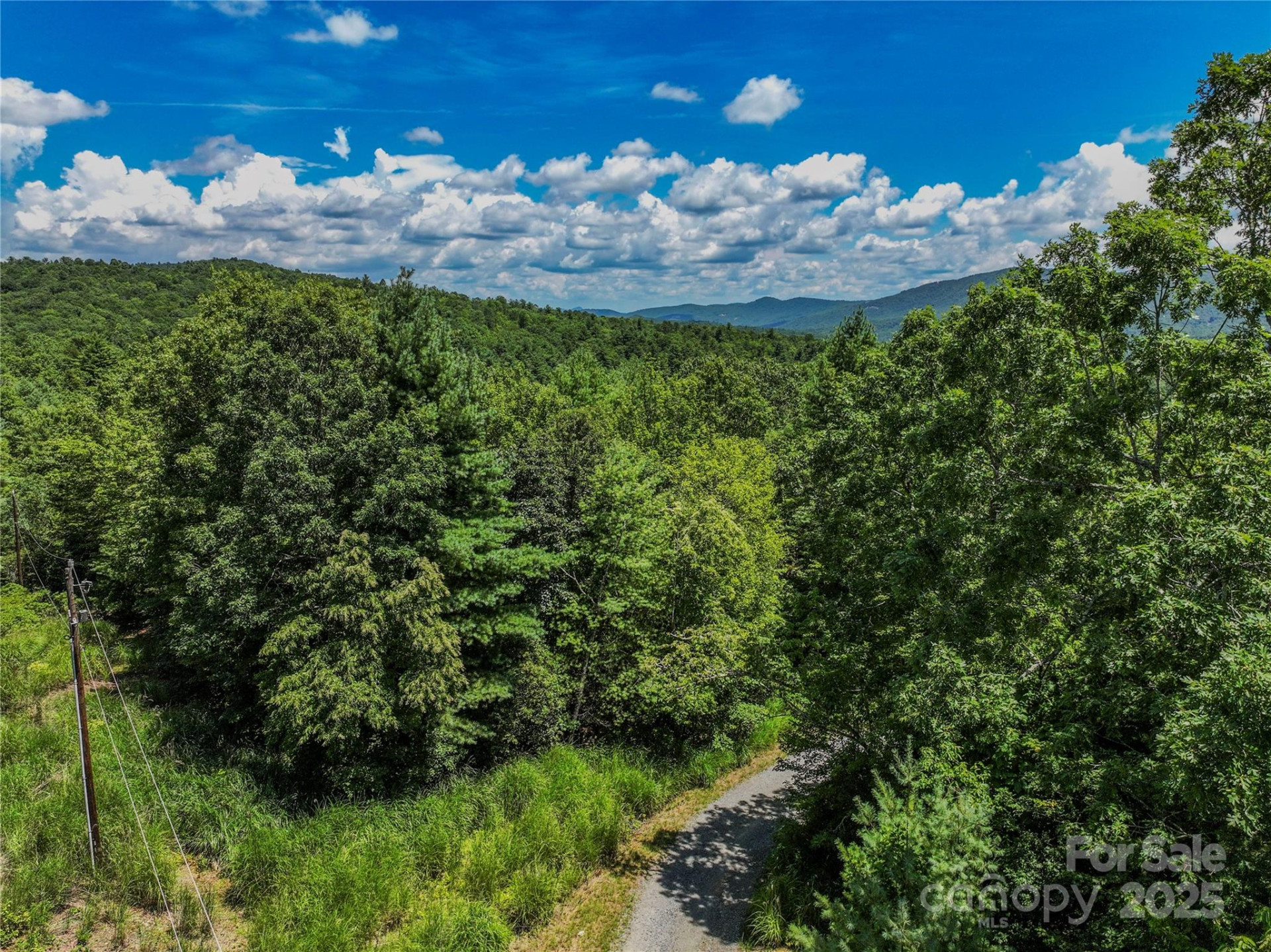 TBD Emma Bri Lane ##10 - Photo 6