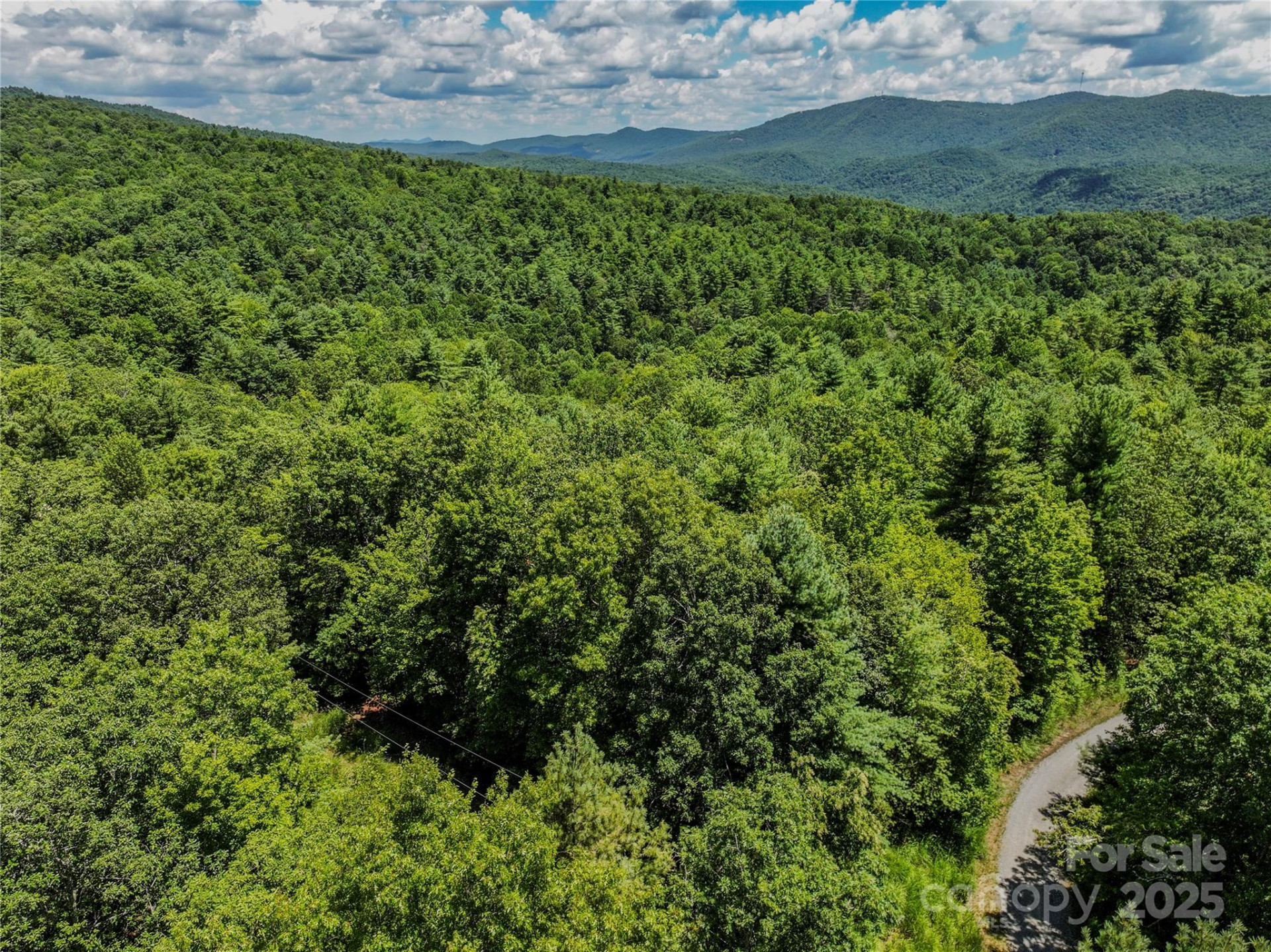 TBD Emma Bri Lane ##10 - Photo 7