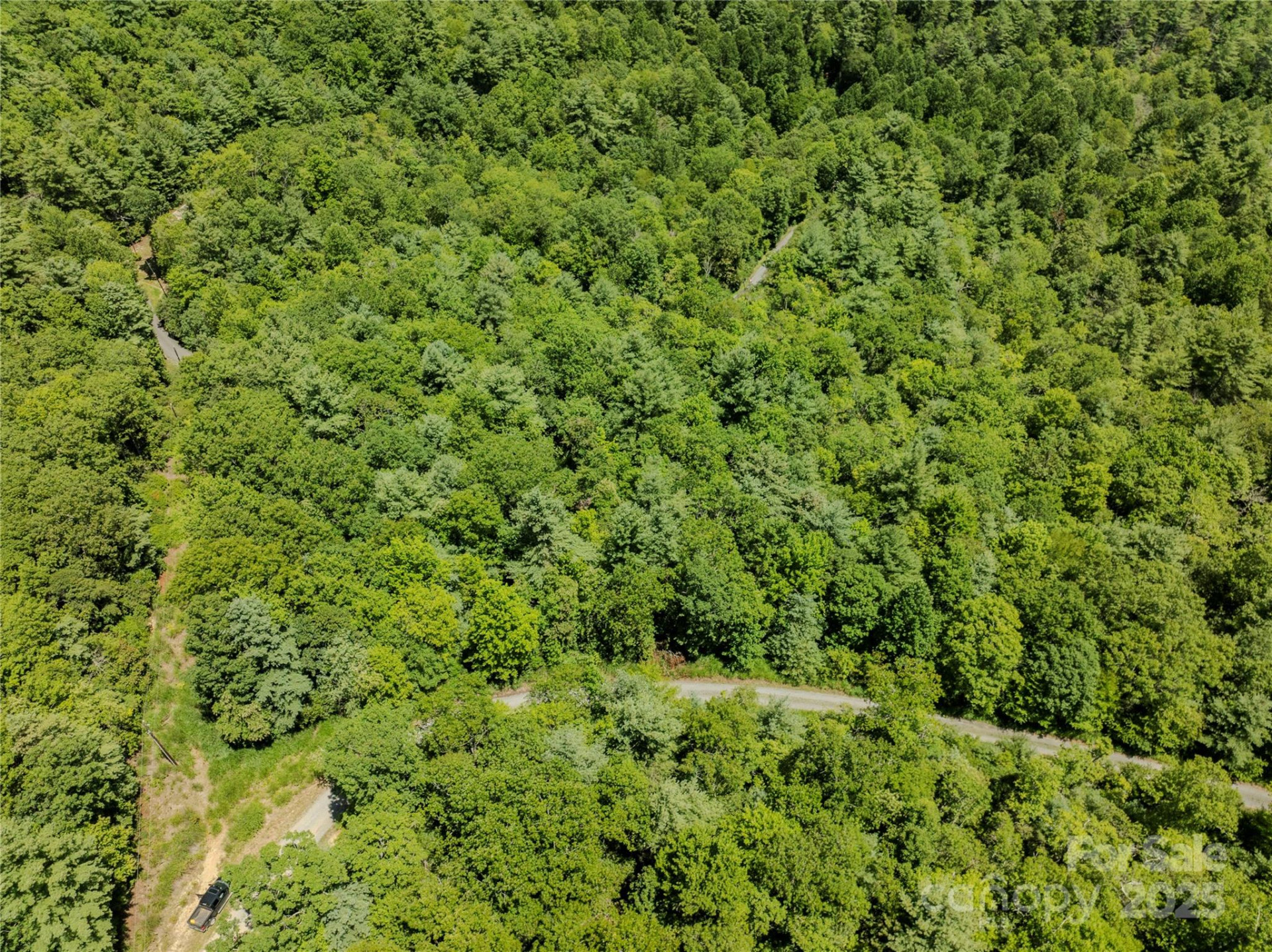 TBD Emma Bri Lane ##10 - Photo 8