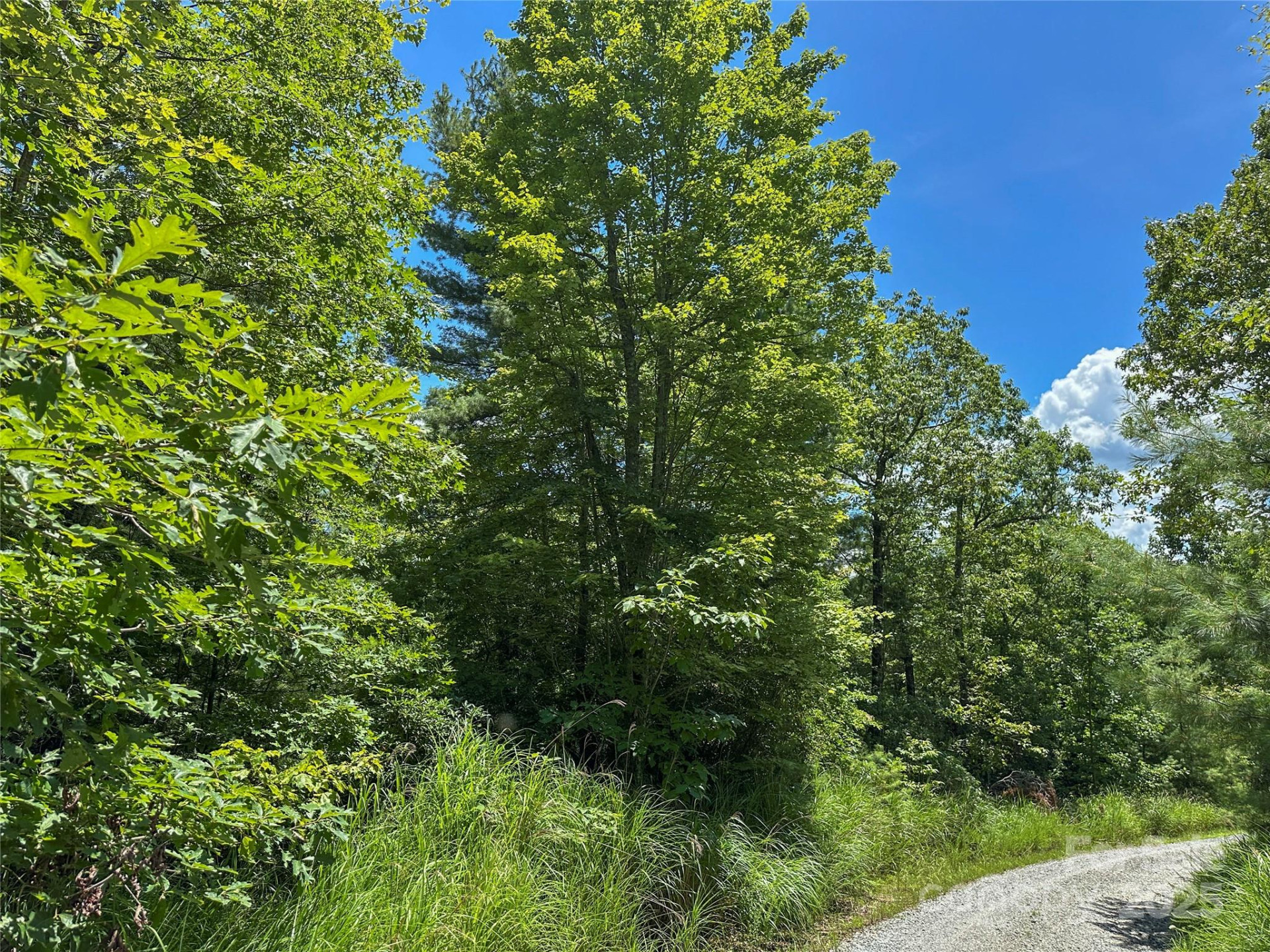 TBD Emma Bri Lane ##10 - Photo 9