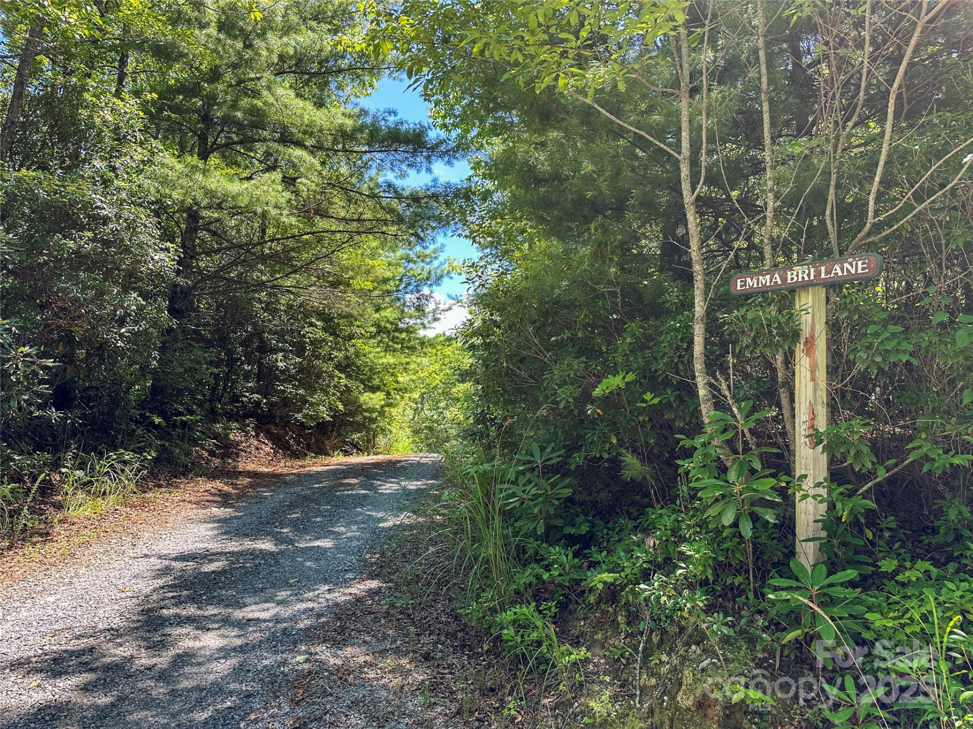 TBD Emma Bri Lane ##10 - Photo 10