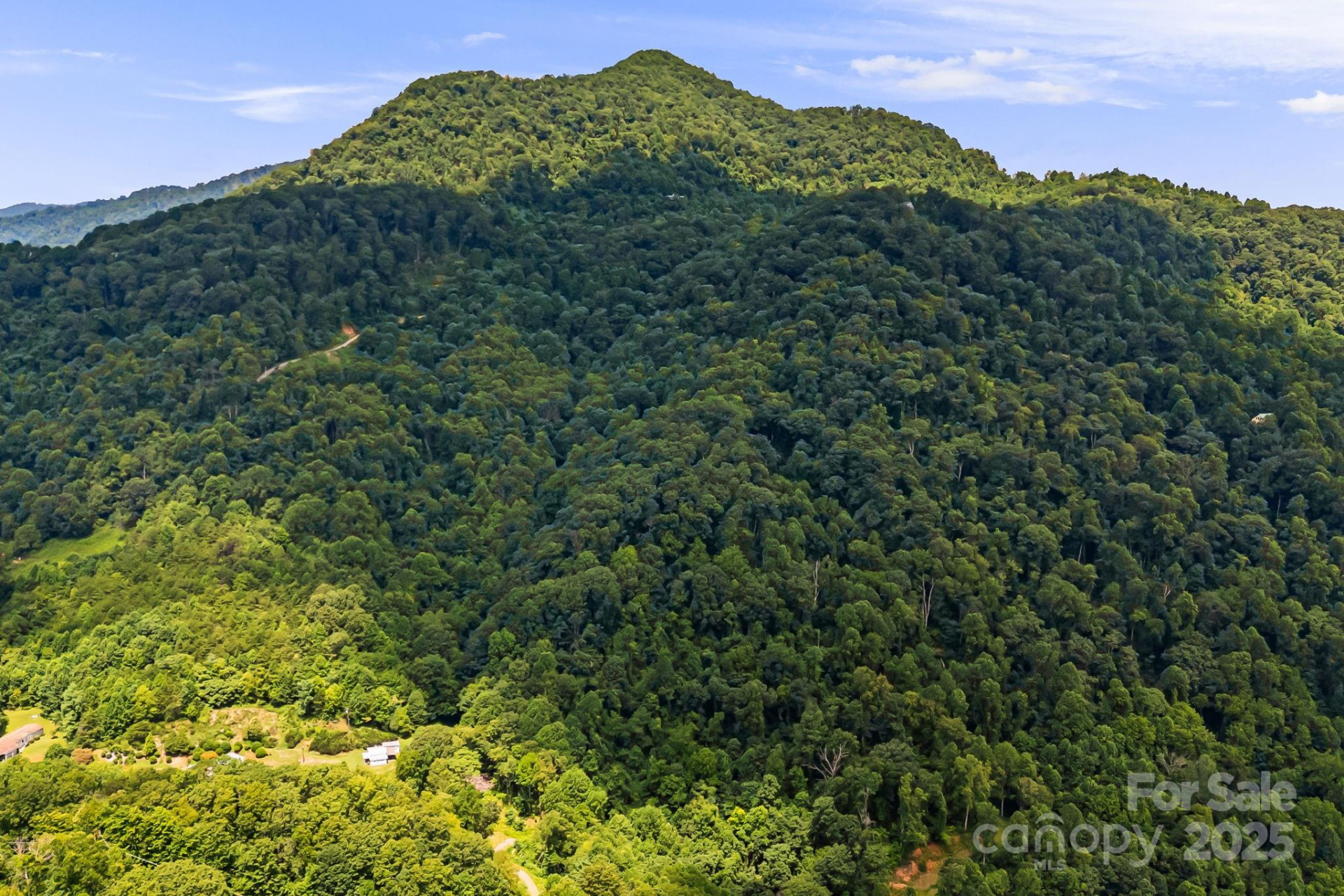 28 Back Stage Pass - Photo 3