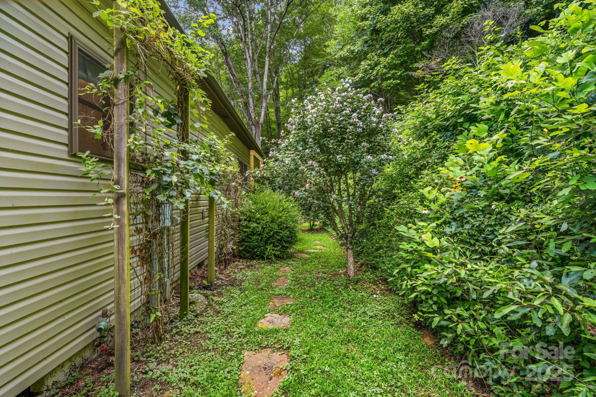 28 Back Stage Pass - Photo 36