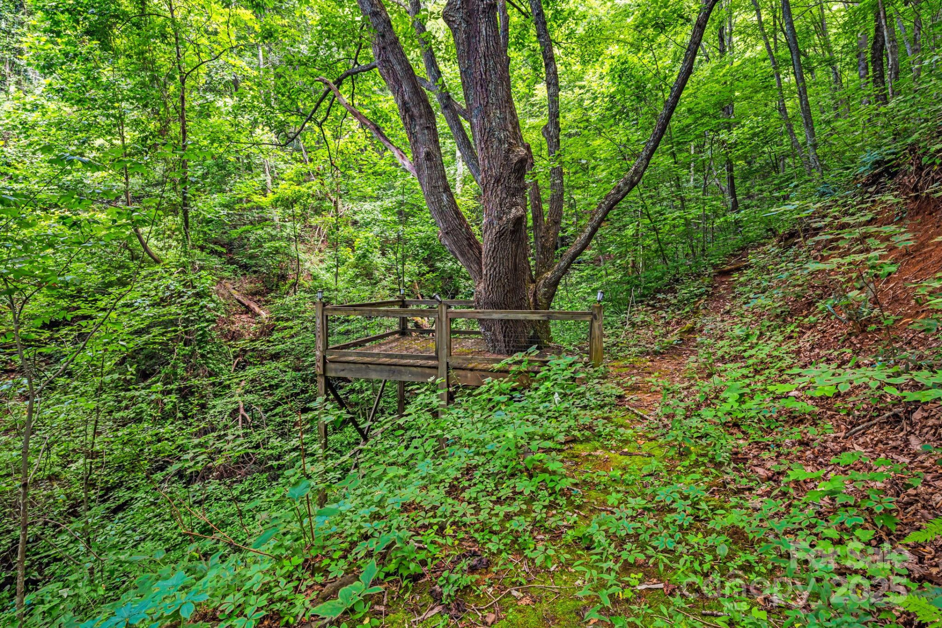 28 Back Stage Pass - Photo 37