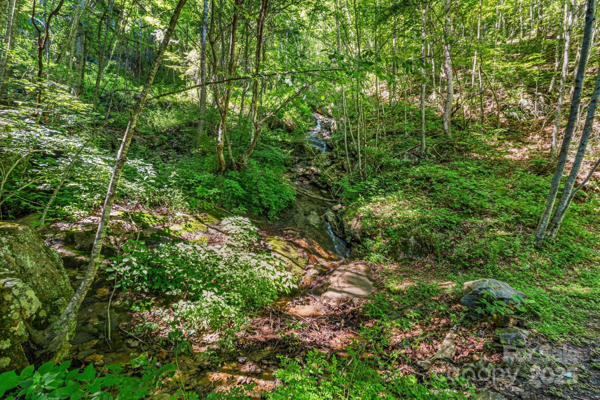 28 Back Stage Pass - Photo 7