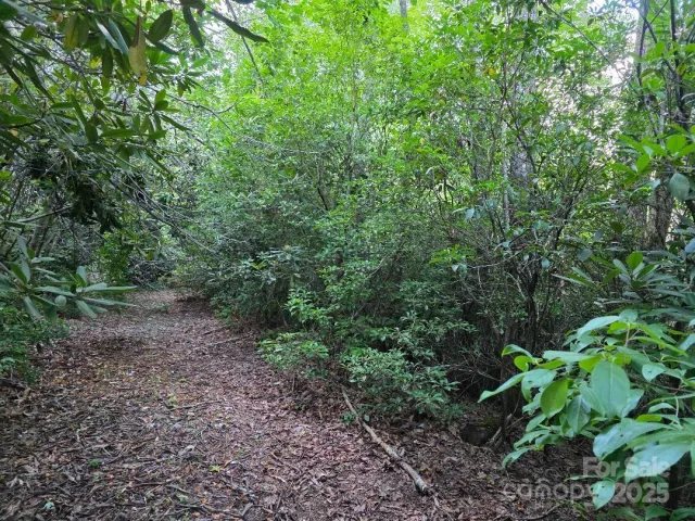 LOT 2 Pine Ridge Road, Burnsville, NC, 28714