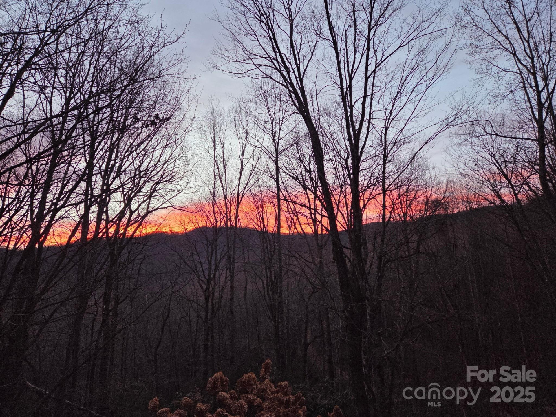 50 Firefly Springs Lane - Photo 2