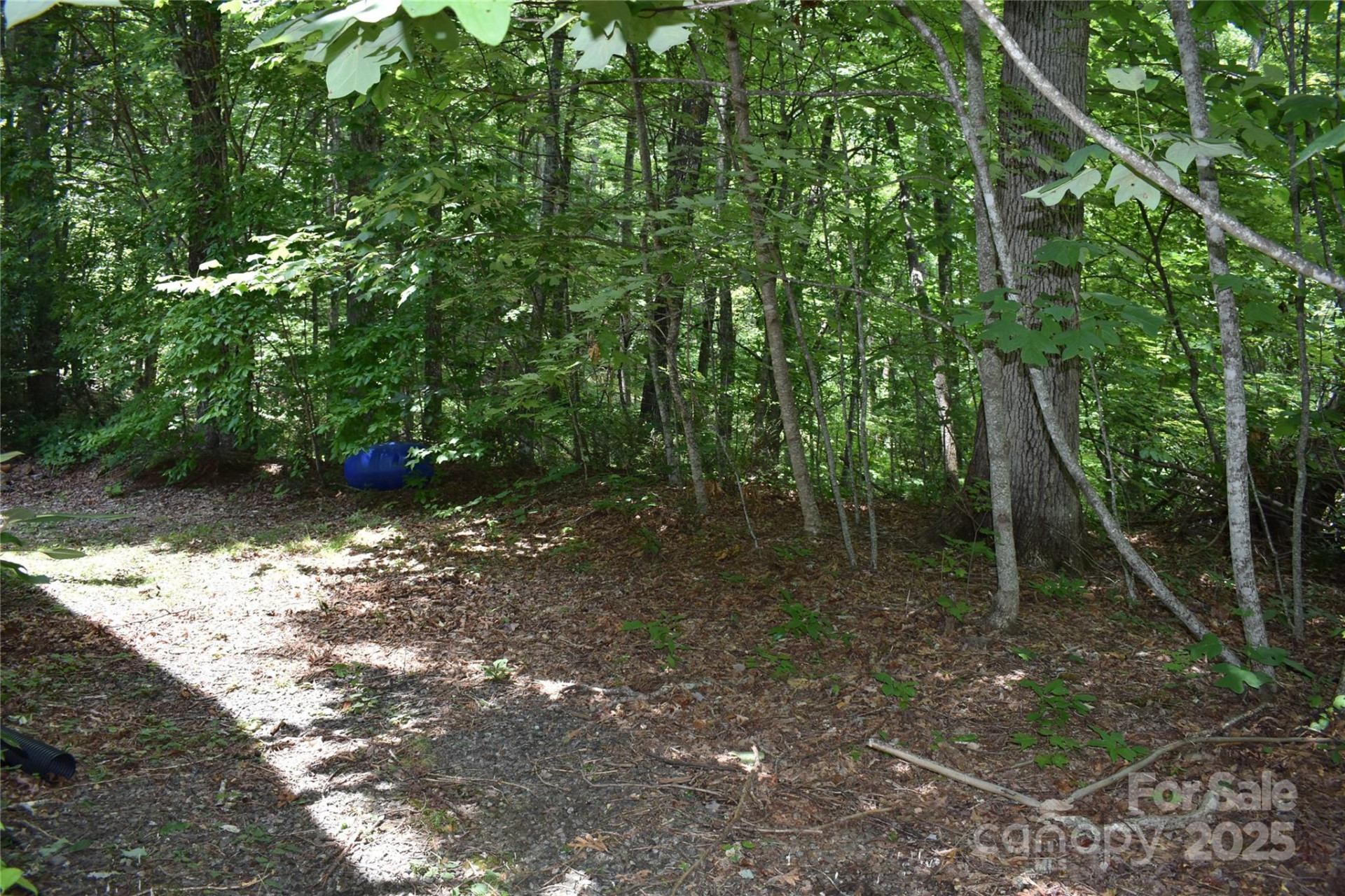 50 Firefly Springs Lane - Photo 21