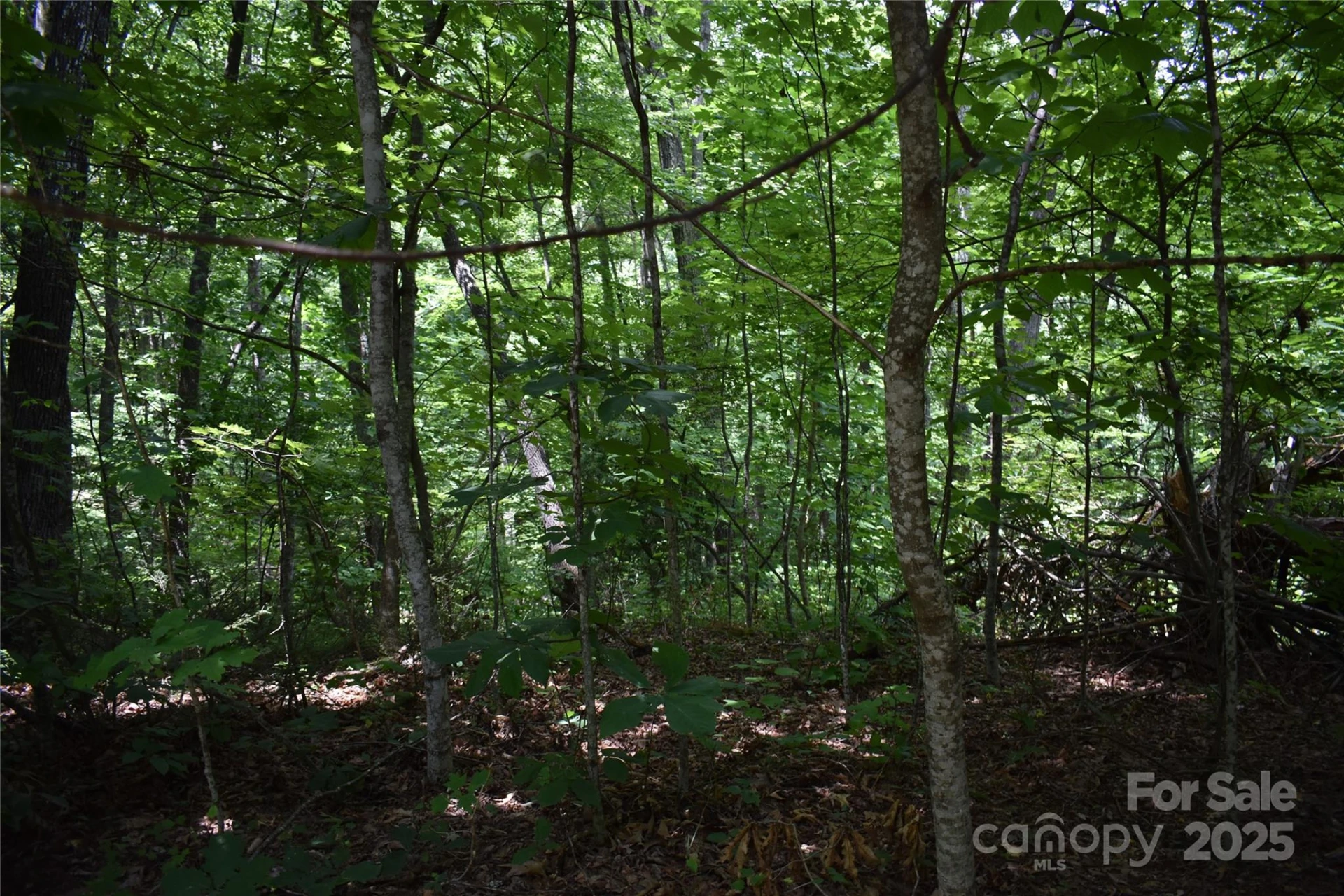 50 Firefly Springs Lane - Photo 22