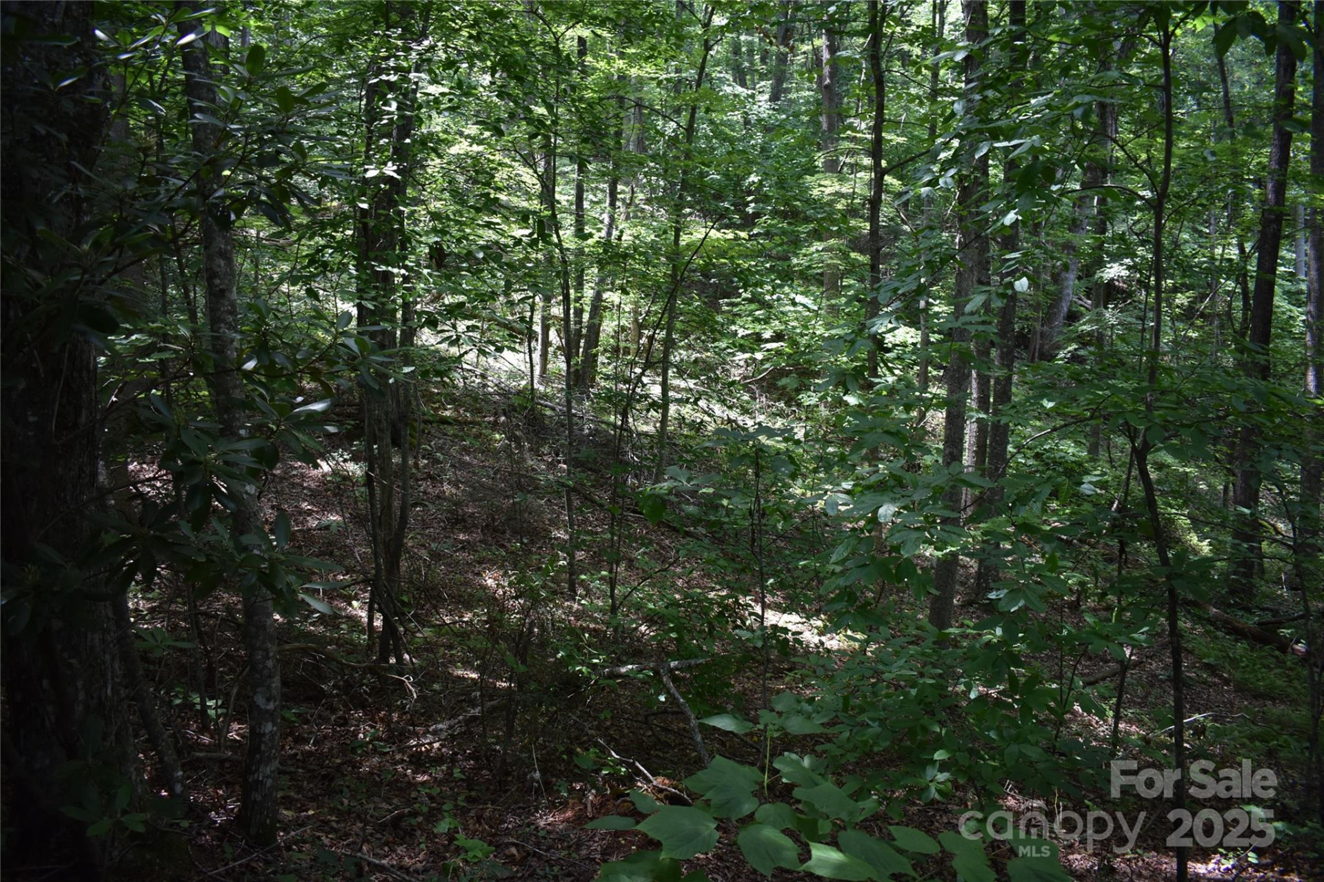 50 Firefly Springs Lane - Photo 23