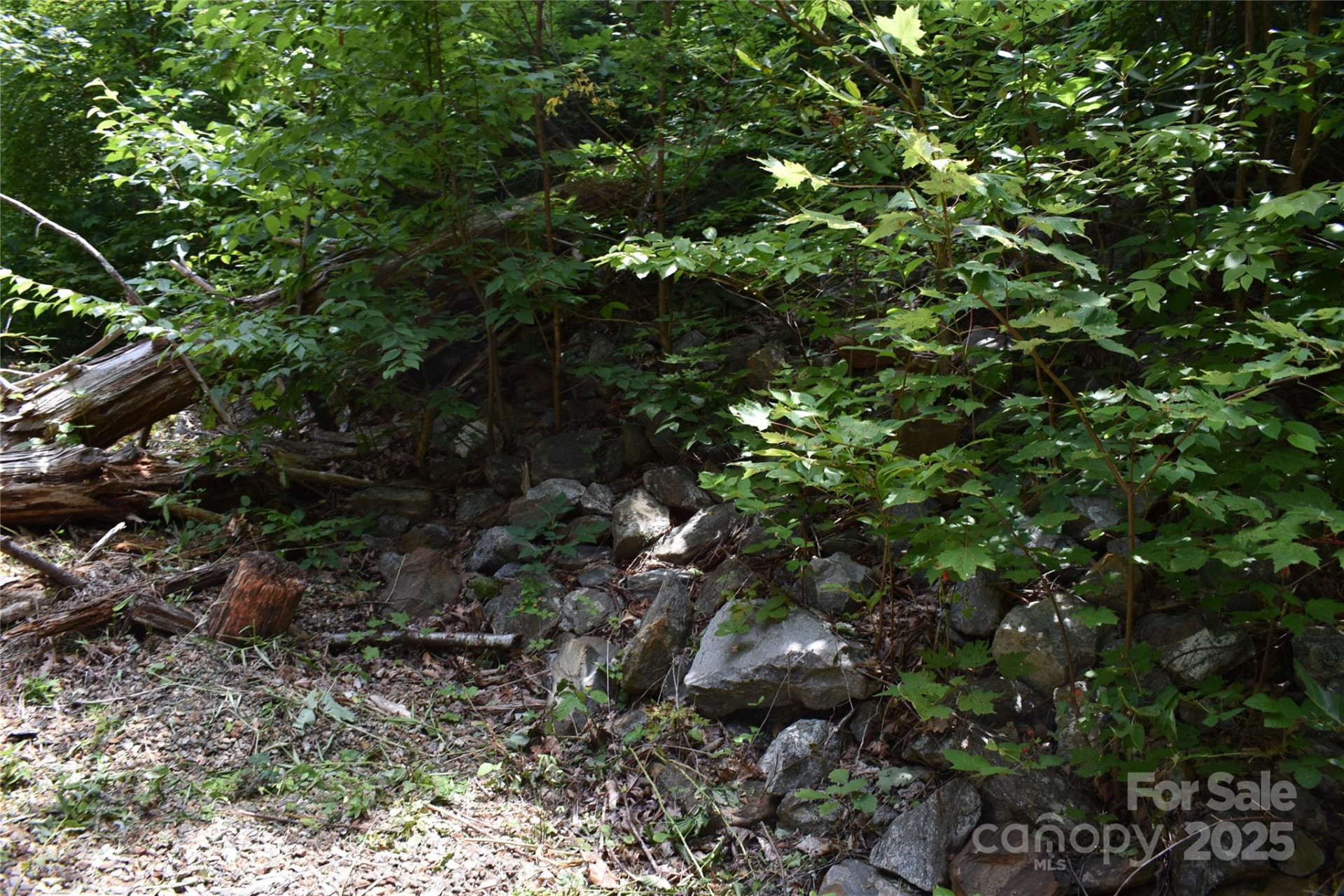 50 Firefly Springs Lane - Photo 28