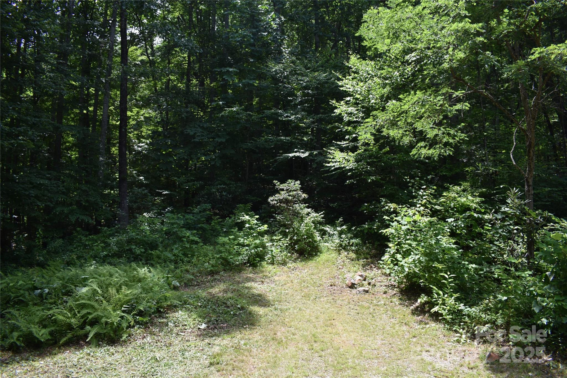 50 Firefly Springs Lane - Photo 30