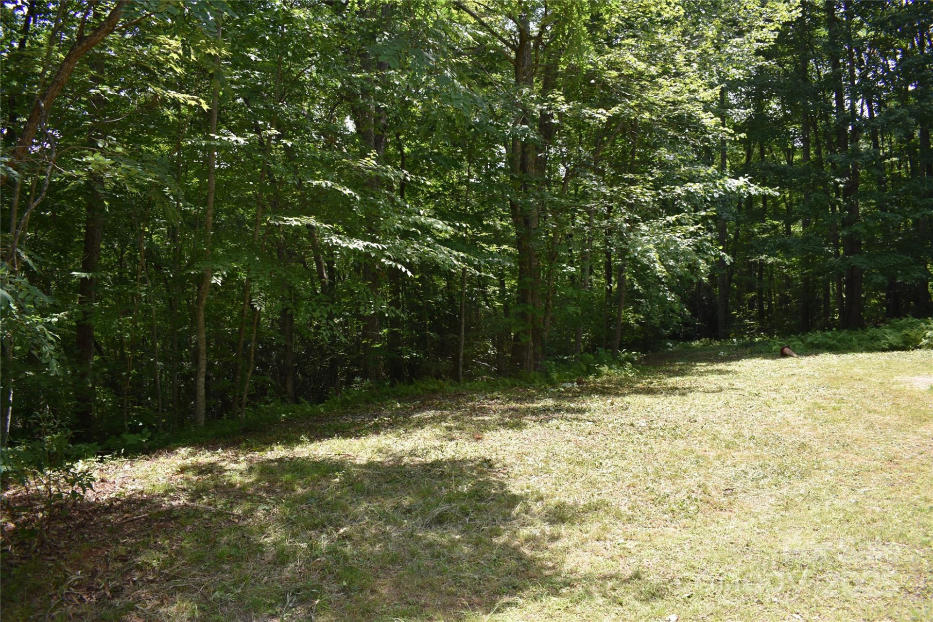 50 Firefly Springs Lane - Photo 33