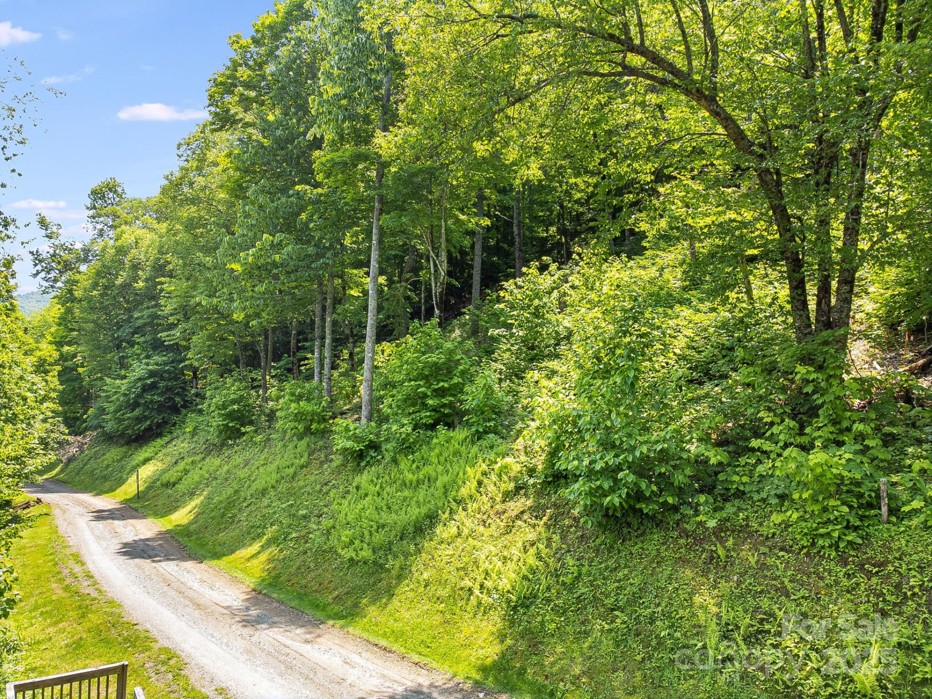 16 Mountain Gait Drive #16 - Photo 15