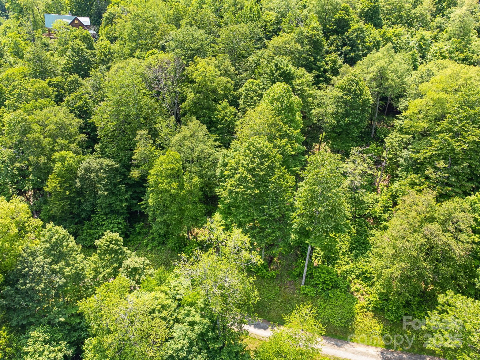 16 Mountain Gait Drive #16 - Photo 16