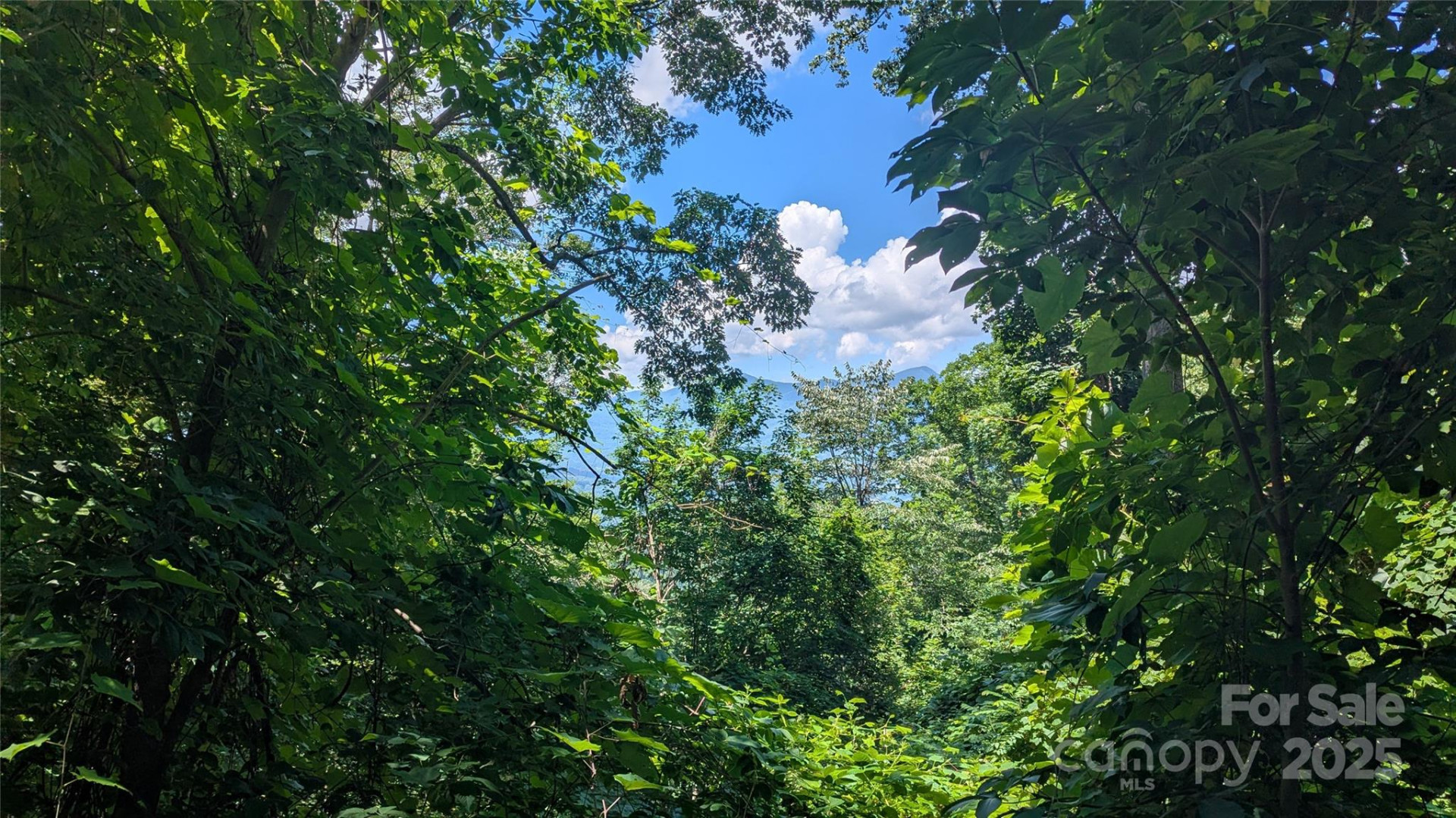 Lot 44 Weatherwatch Drive #44 - Photo 26