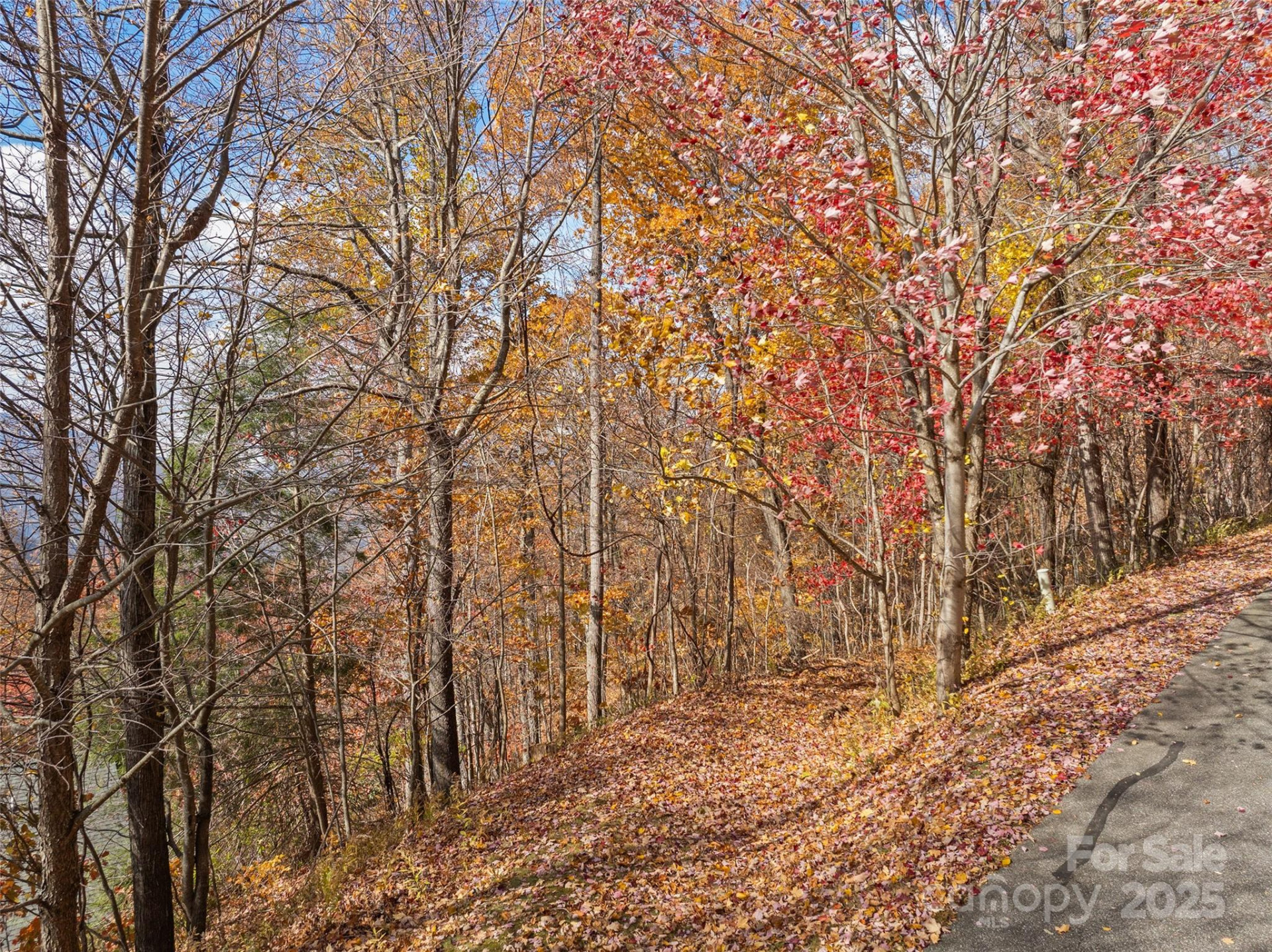 Lot 44 Weatherwatch Drive #44 - Photo 7