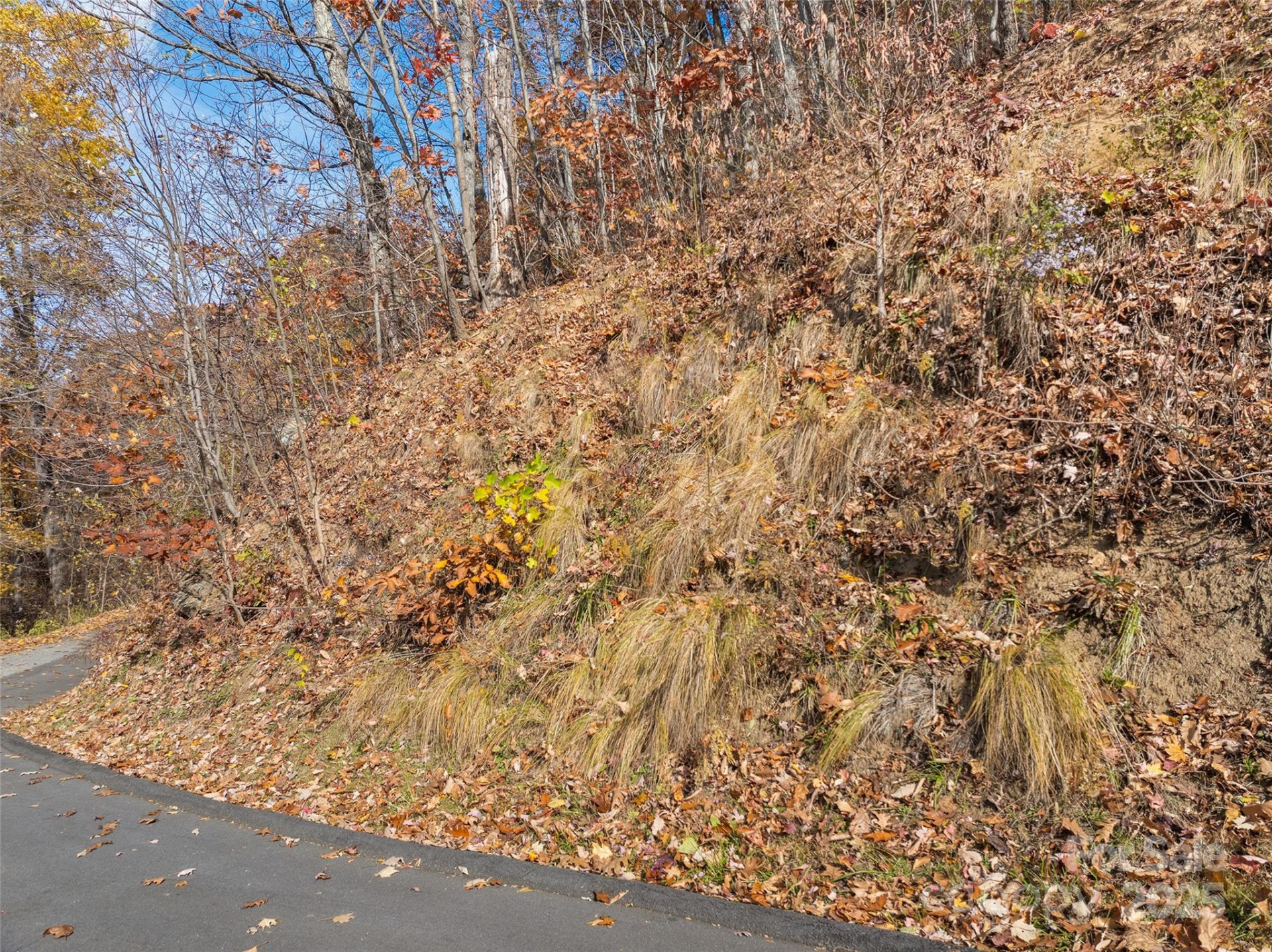 Lot 44 Weatherwatch Drive #44 - Photo 8