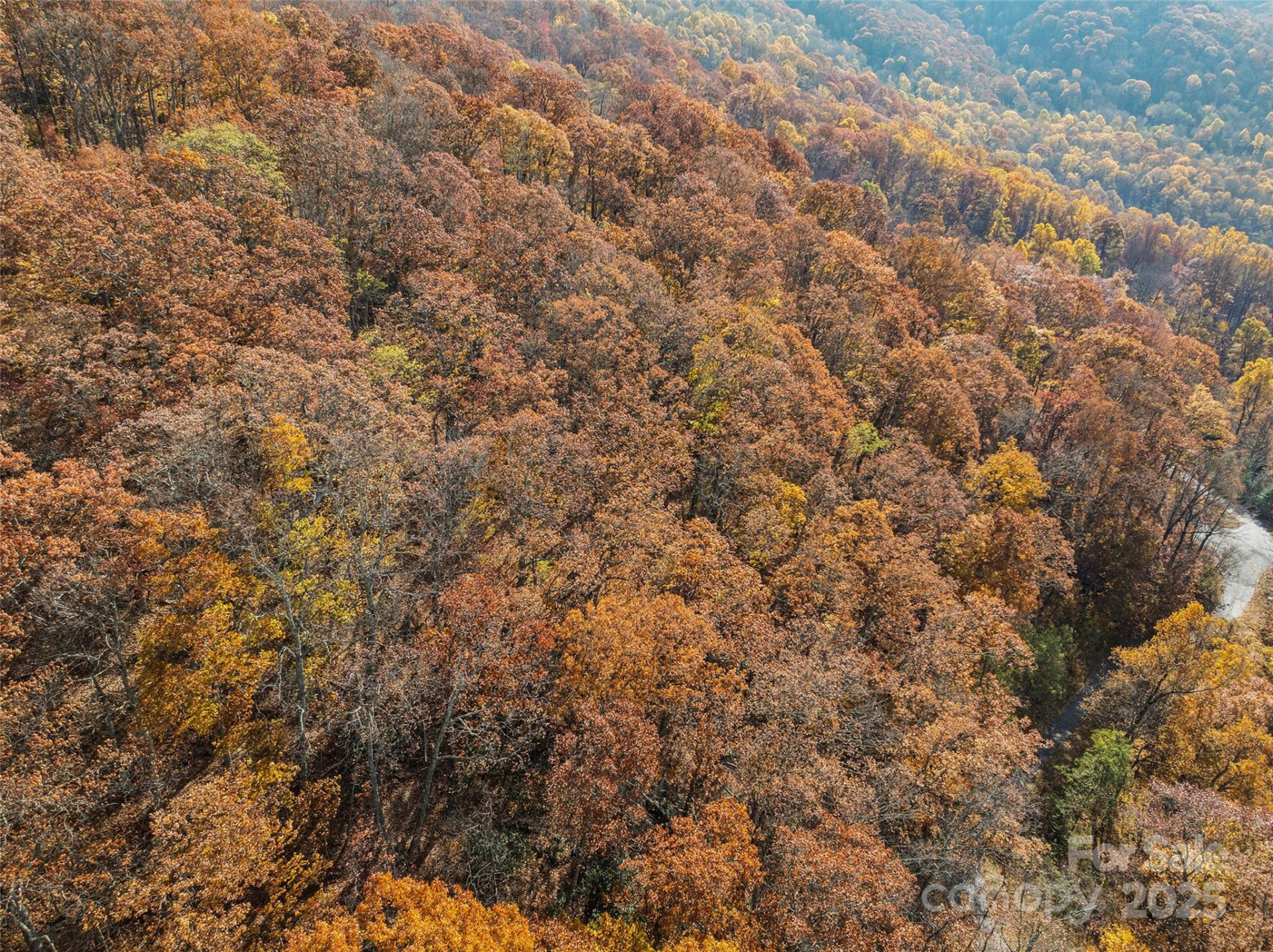 Lot 44 Weatherwatch Drive #44 - Photo 9