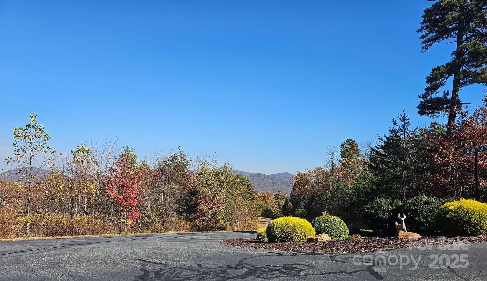 1211 Mountain Vista Drive - Photo 2