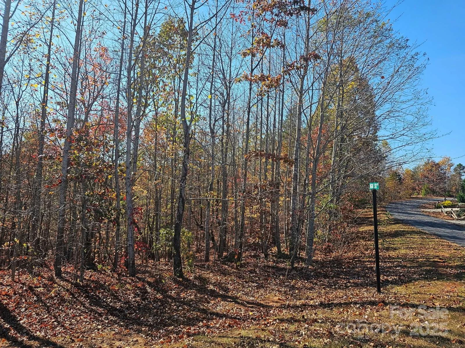 1211 Mountain Vista Drive - Photo 4