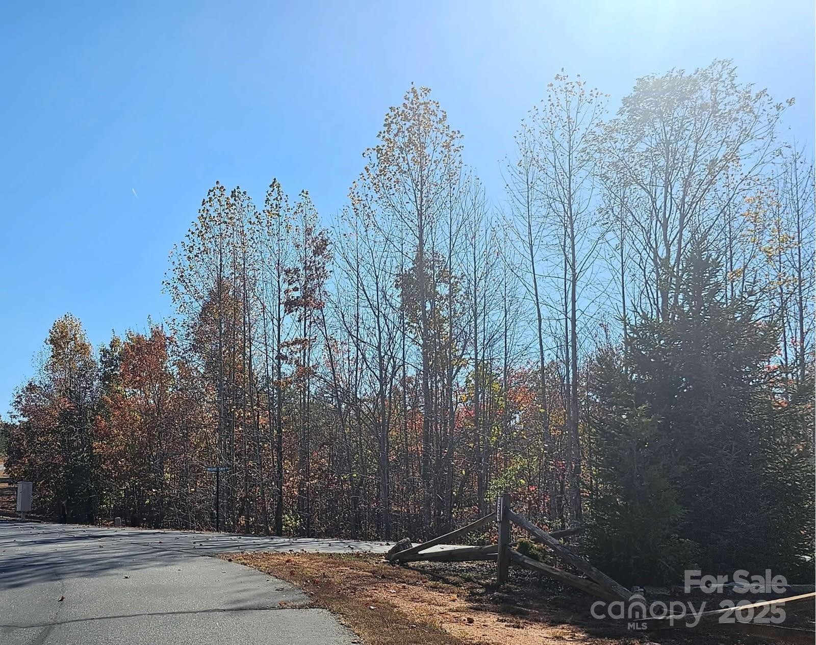 1211 Mountain Vista Drive - Photo 5