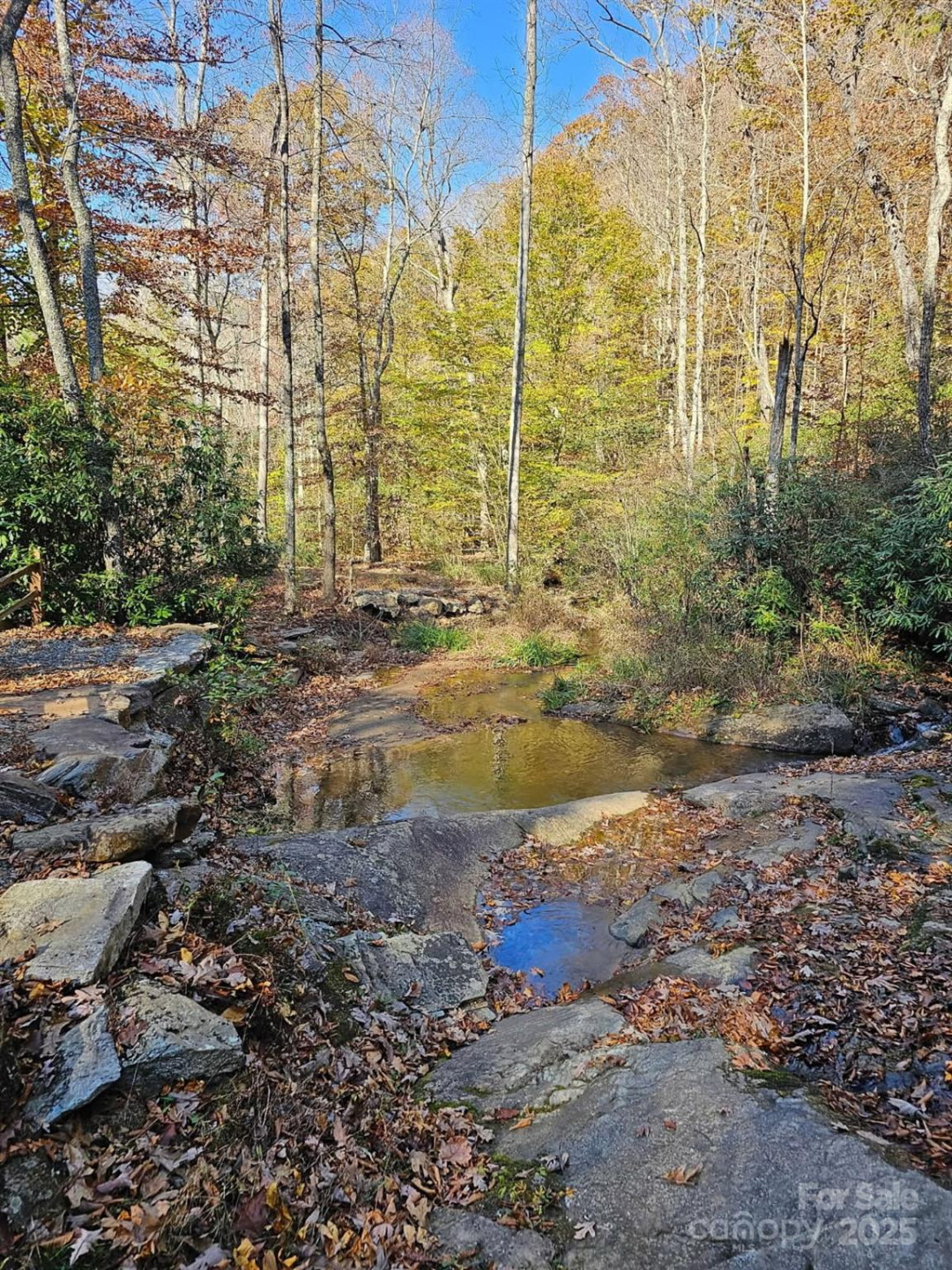 1211 Mountain Vista Drive - Photo 6