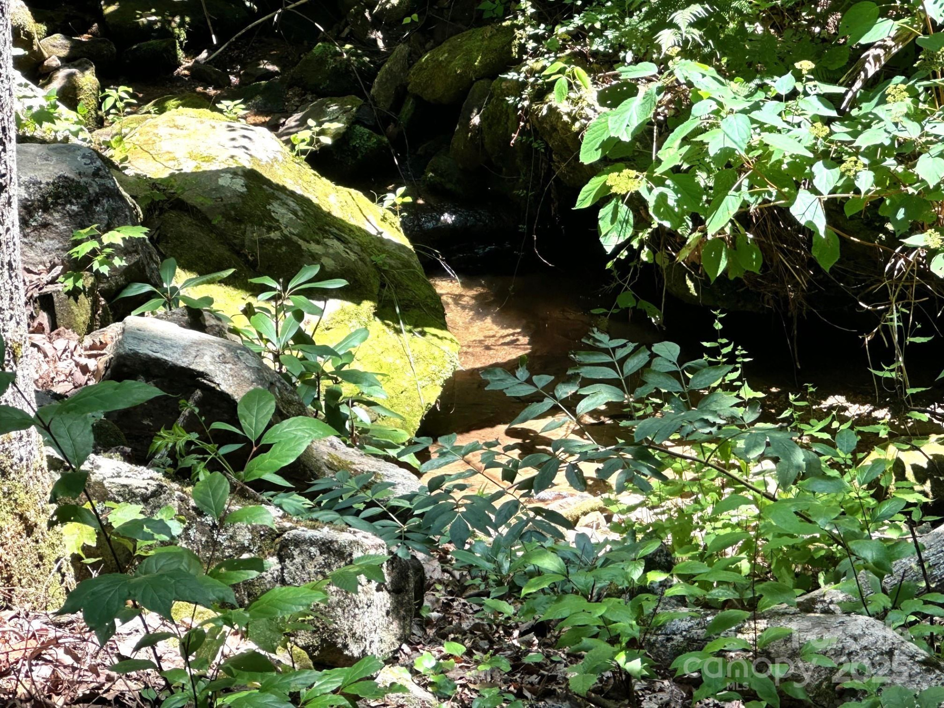 184 Poplar Drive - Photo 46