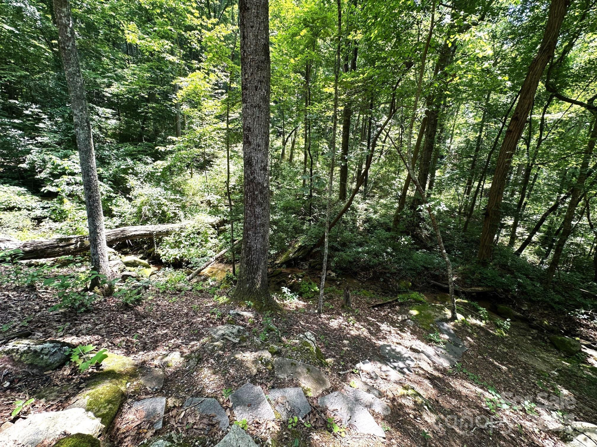 184 Poplar Drive - Photo 48