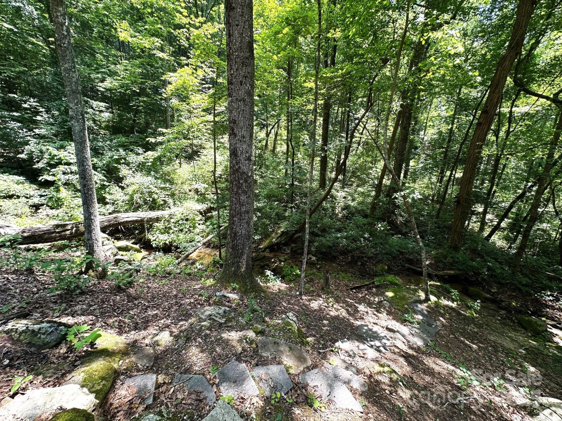 184 Poplar Drive - Photo 48