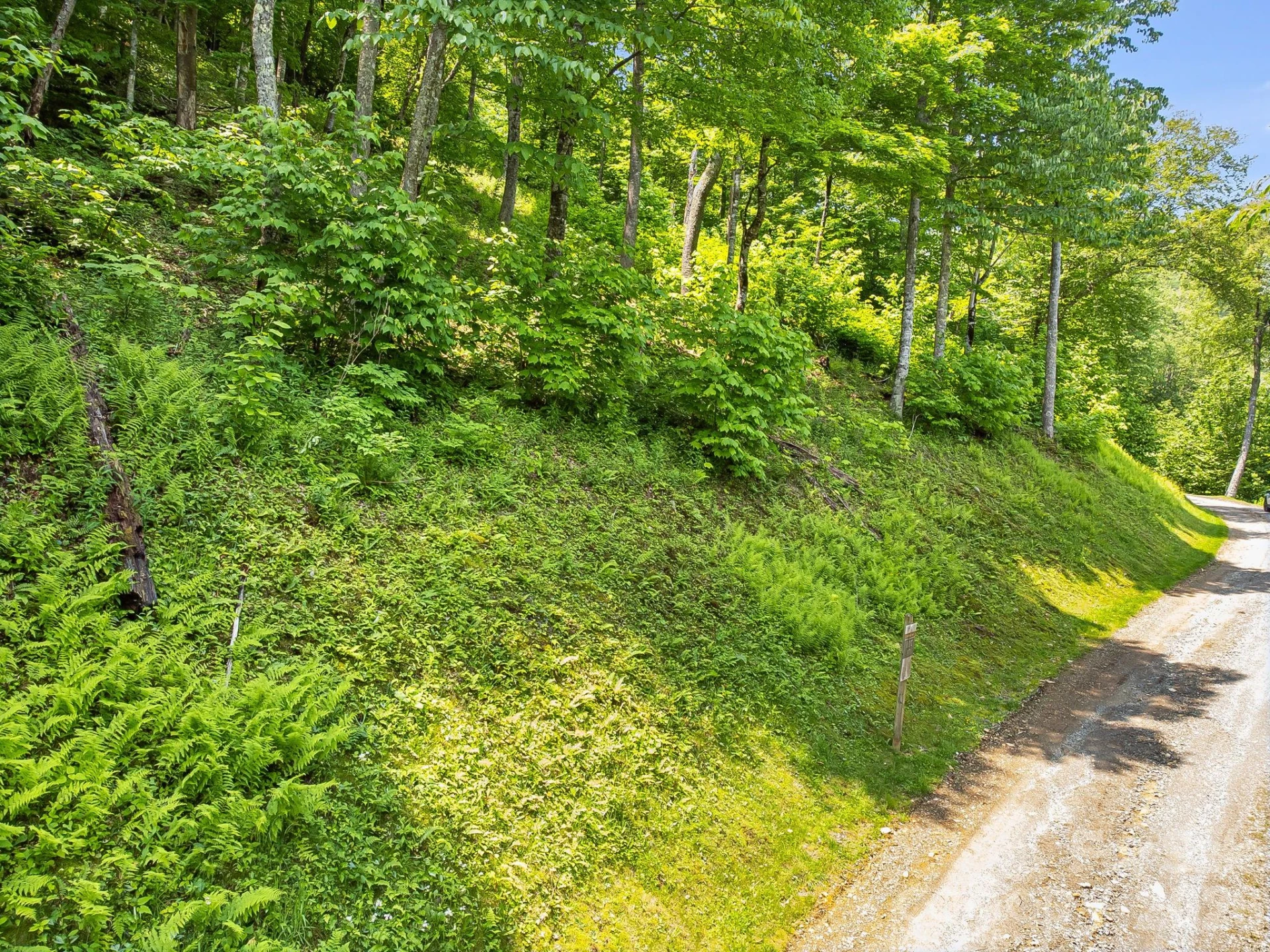 17 Mountain Gait Drive #17 - Photo 43
