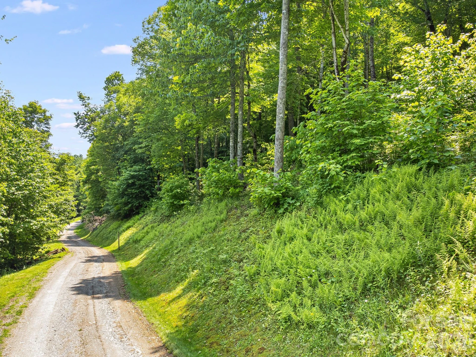 17 Mountain Gait Drive #17 - Photo 45
