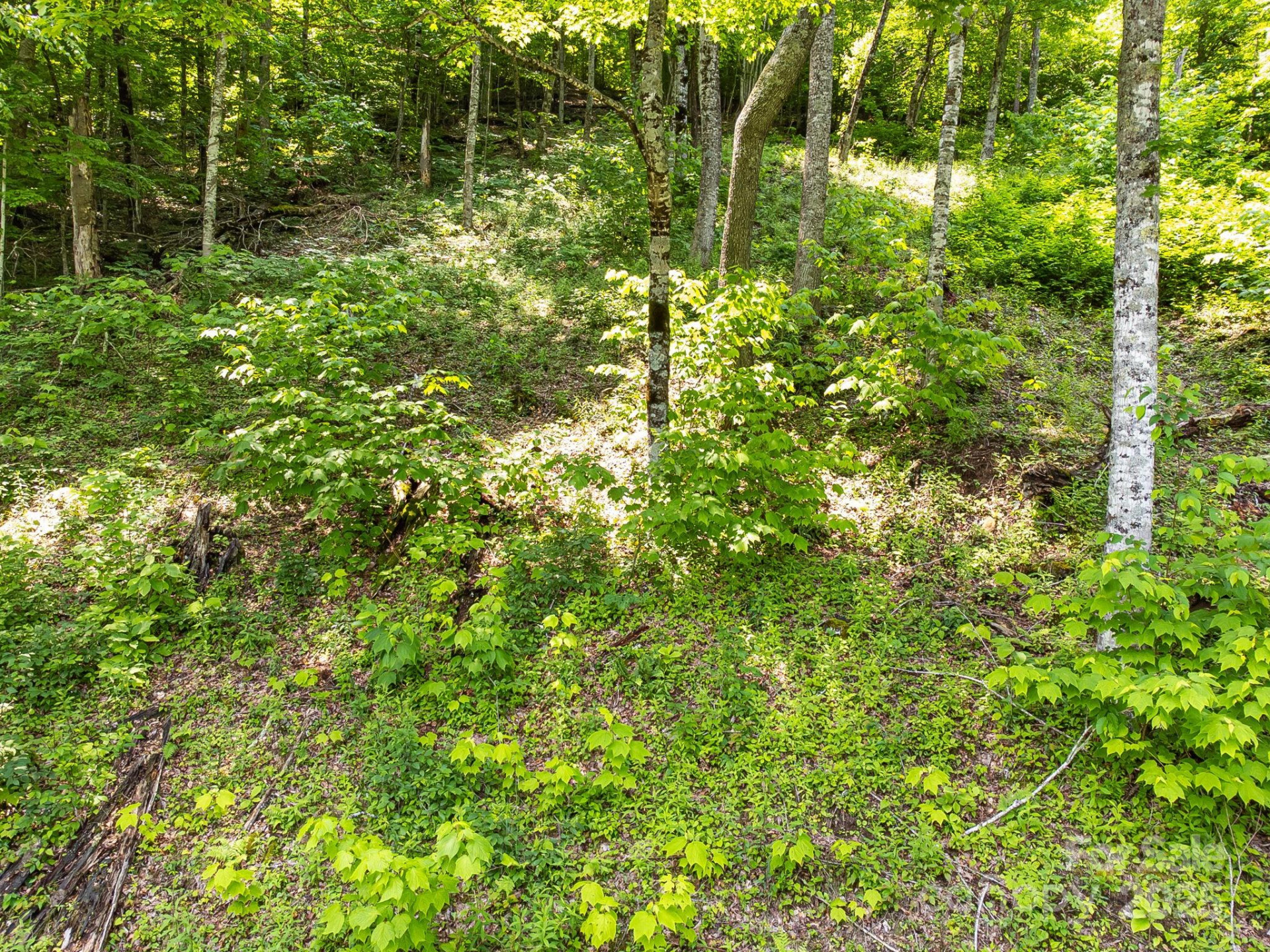 17 Mountain Gait Drive #17 - Photo 27