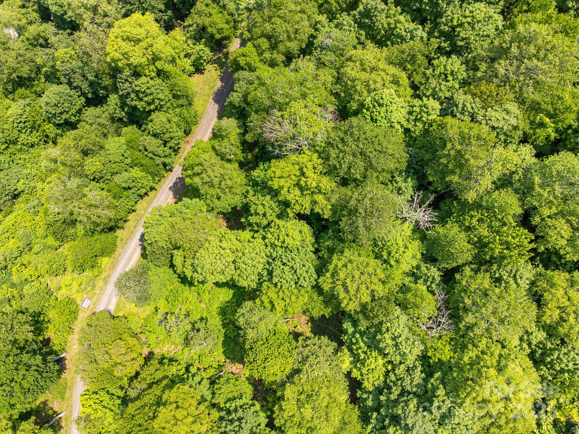 17 Mountain Gait Drive #17 - Photo 28