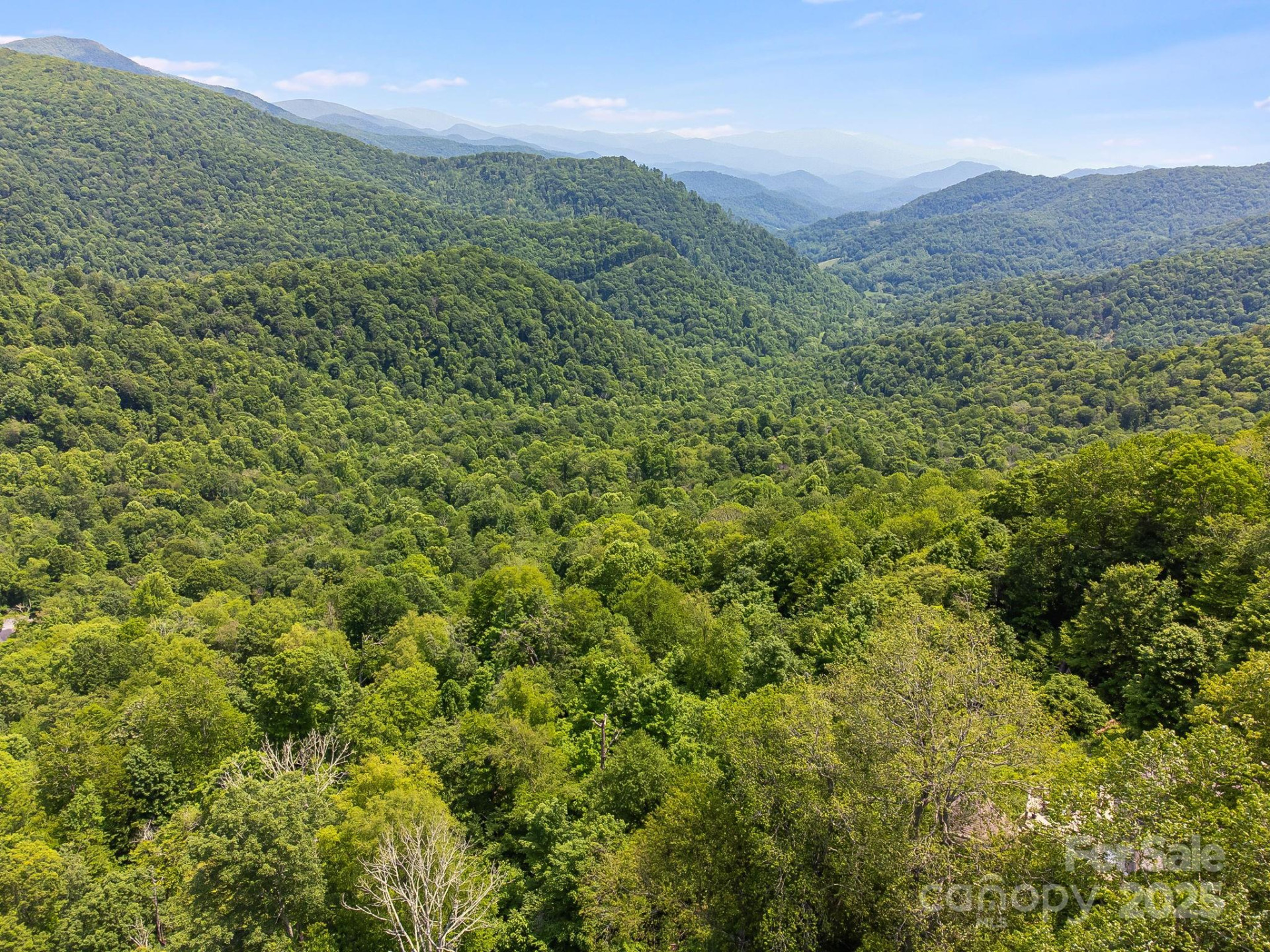 17 Mountain Gait Drive #17 - Photo 30