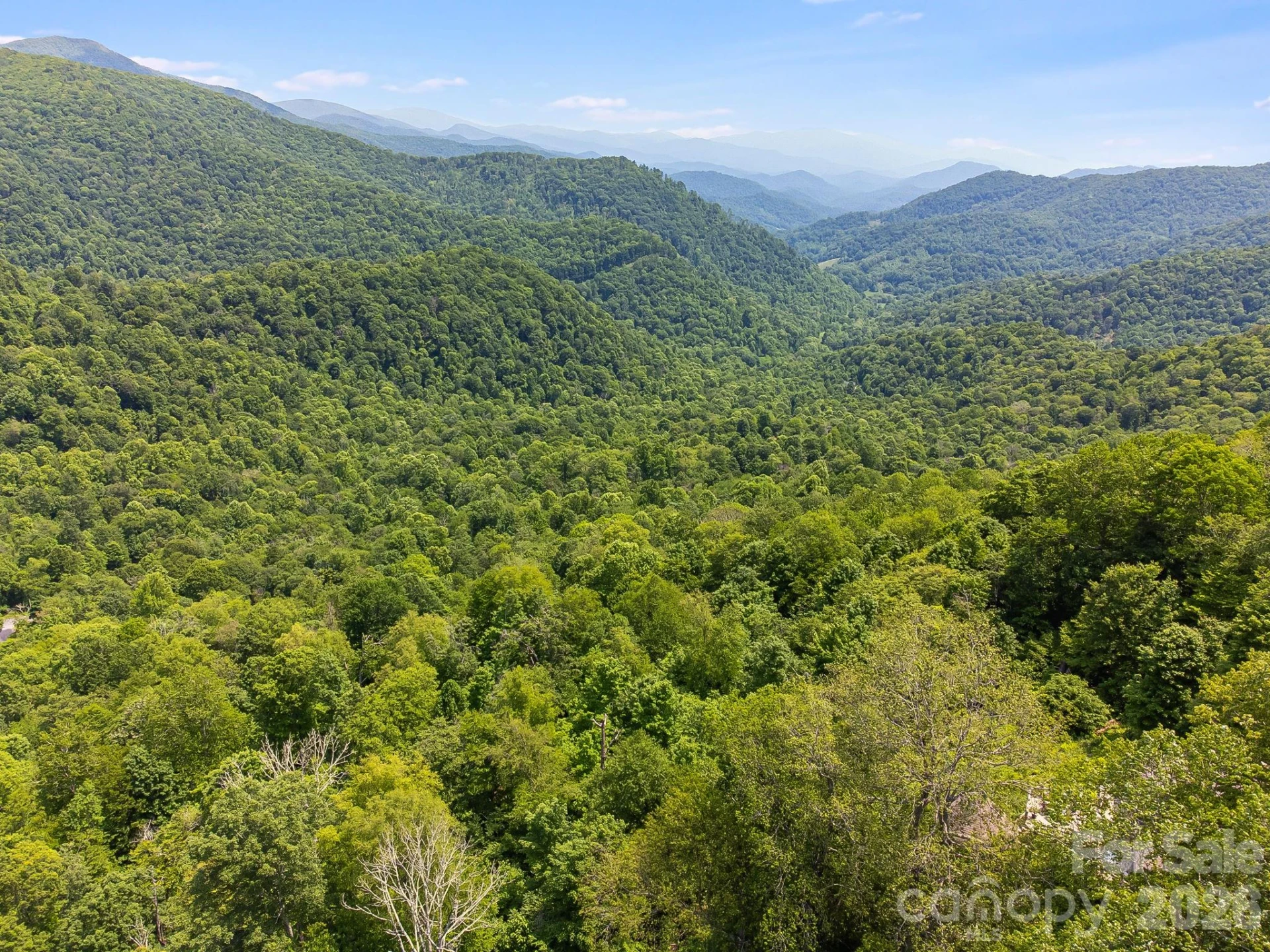 17 Mountain Gait Drive #17 - Photo 59