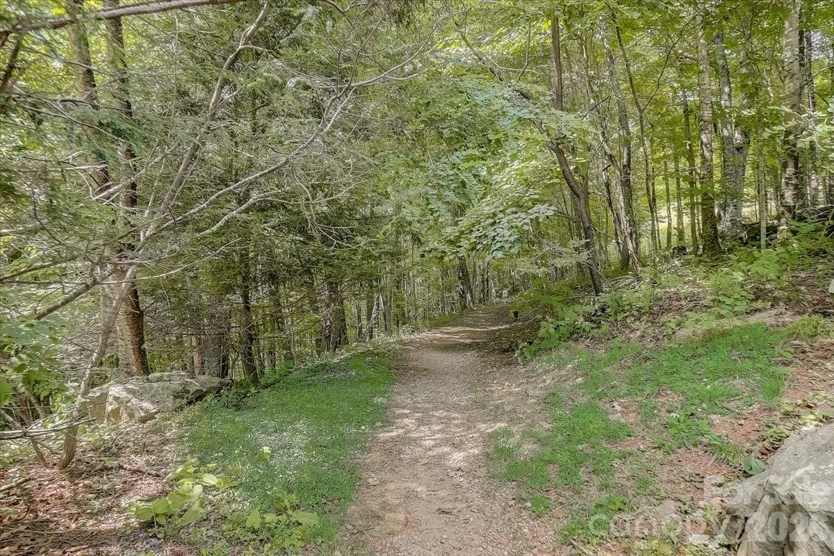 17 Mountain Gait Drive #17 - Photo 93